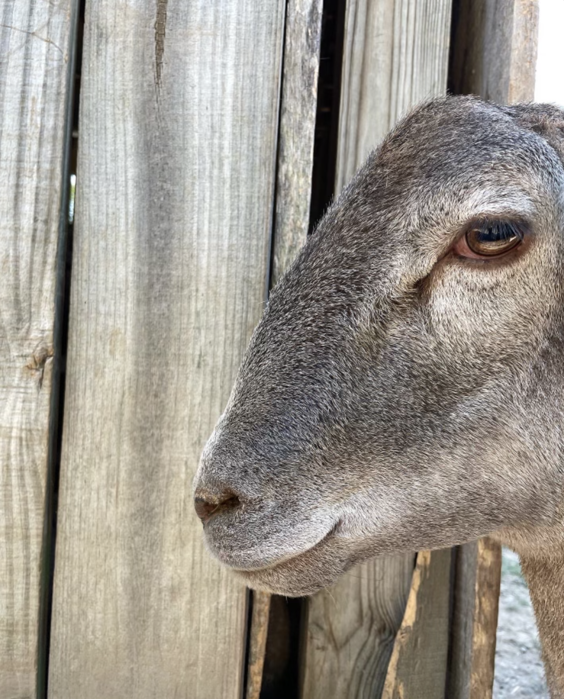 Screenshot 2023-07-18 at 9.21.30 PM.png