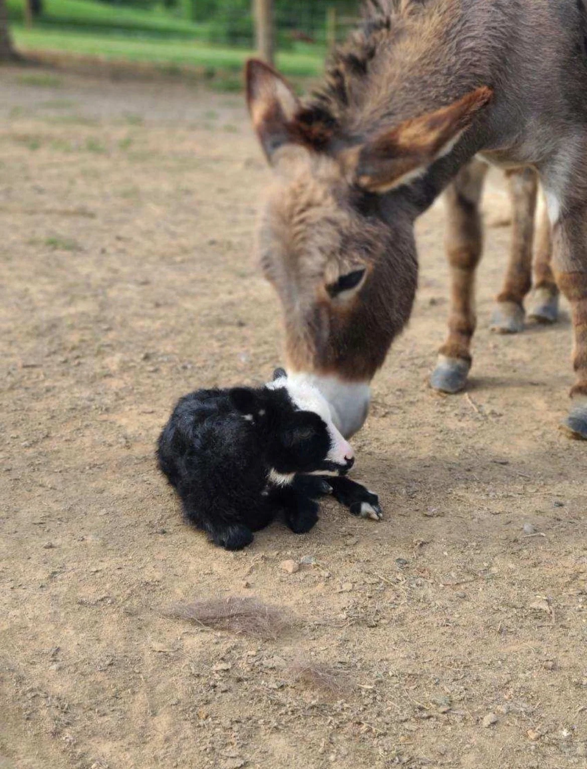 Screenshot 2023-07-18 at 8.33.00 PM.jpeg