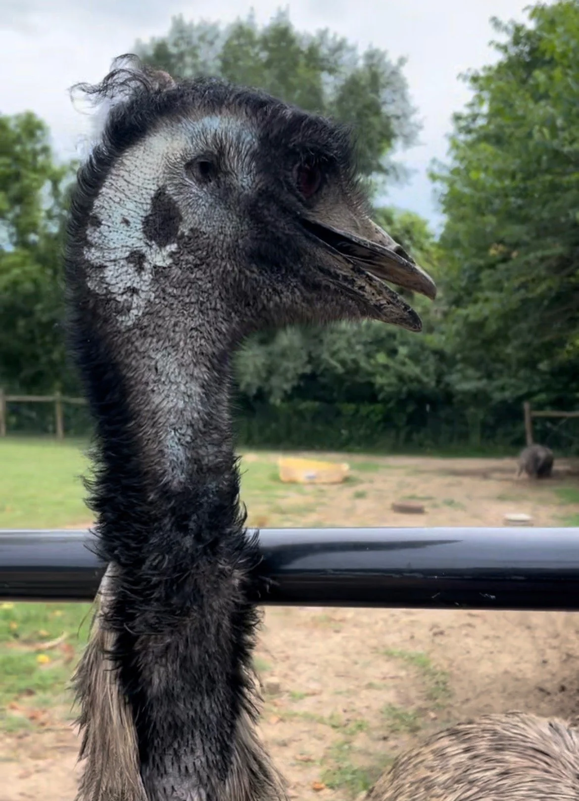 View recent photos.jpeg