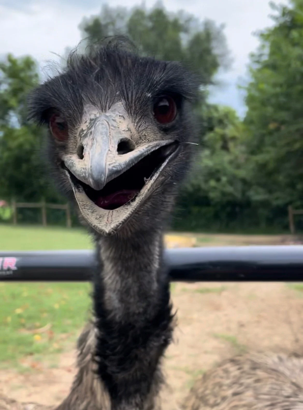 View recent photos.jpeg