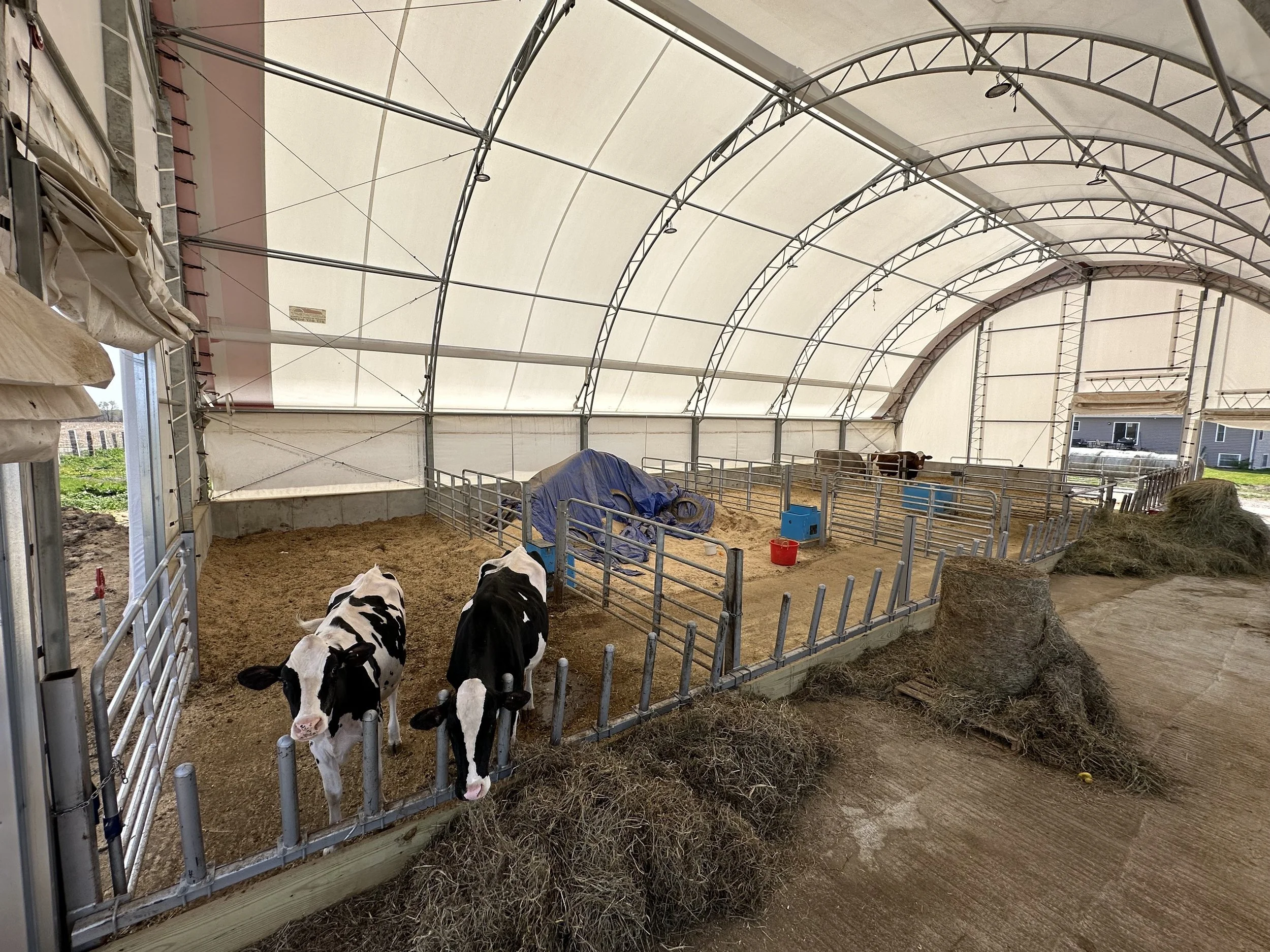 IMG_7809 (1).HEIC Hoop H.jpg