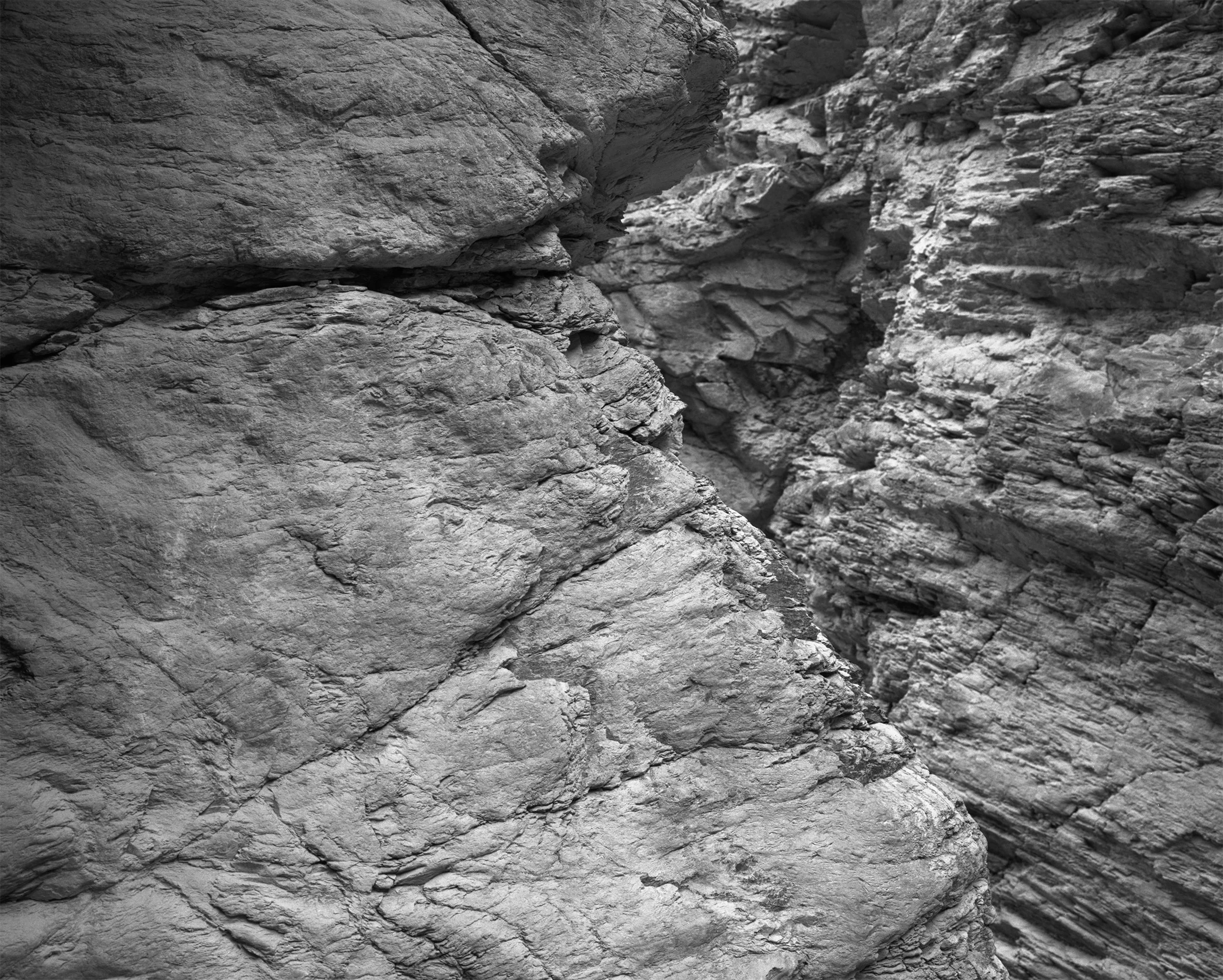 0205_web_v2 copy.jpg