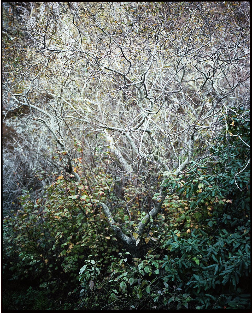 0616 copy.jpg