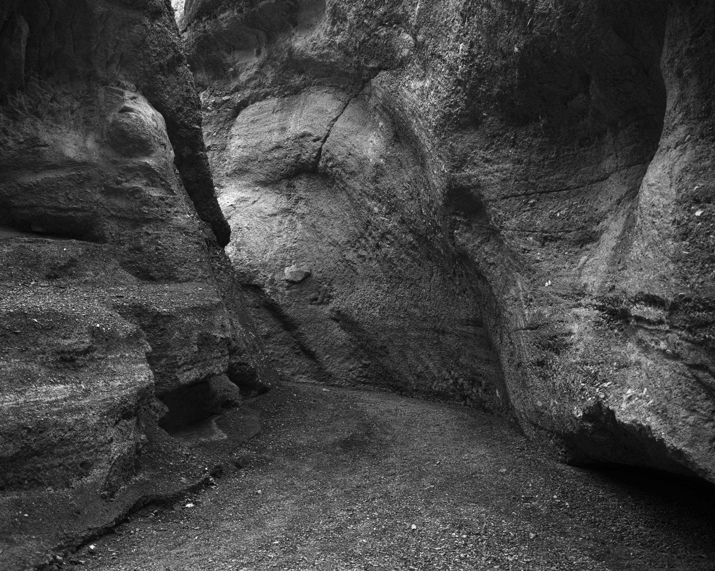 0195_web_v2 copy.jpg