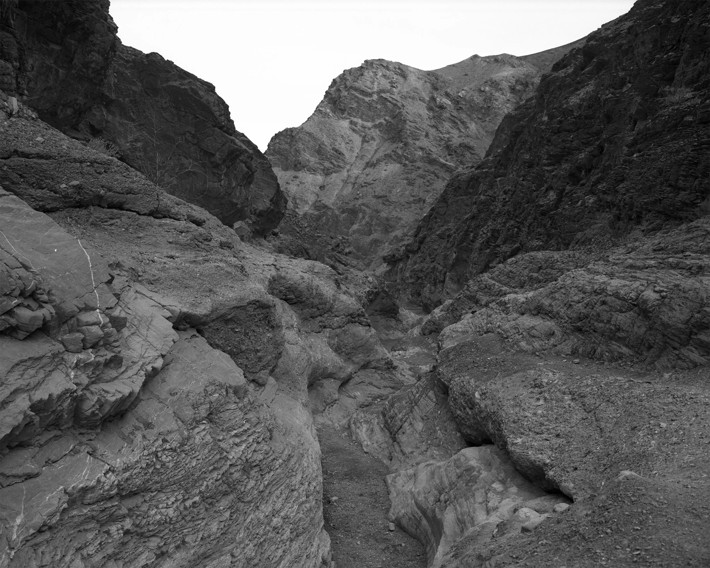 0204_web_v2 copy.jpg