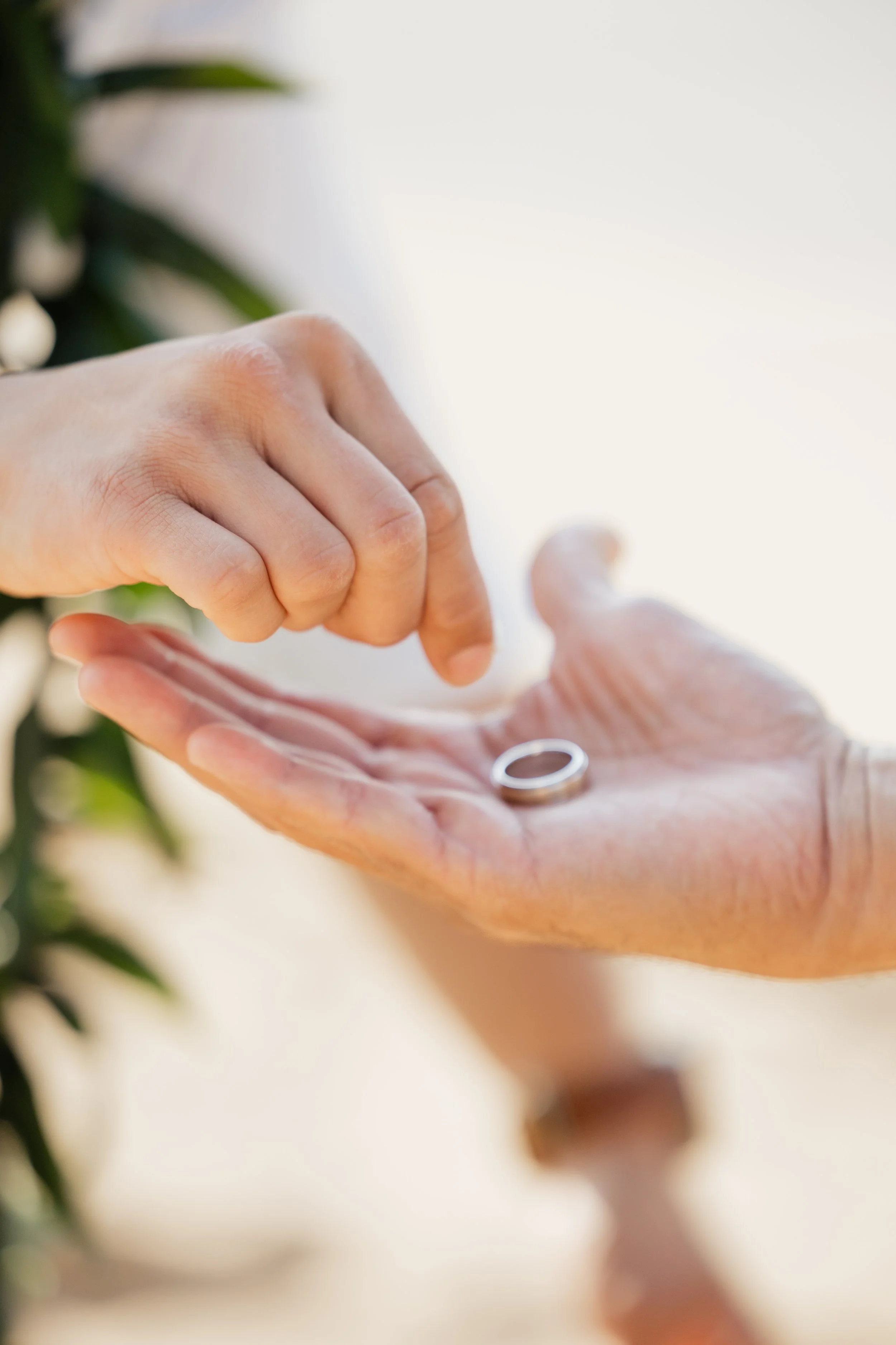 The Final Chapter ( Final 2 Months, Handoff )