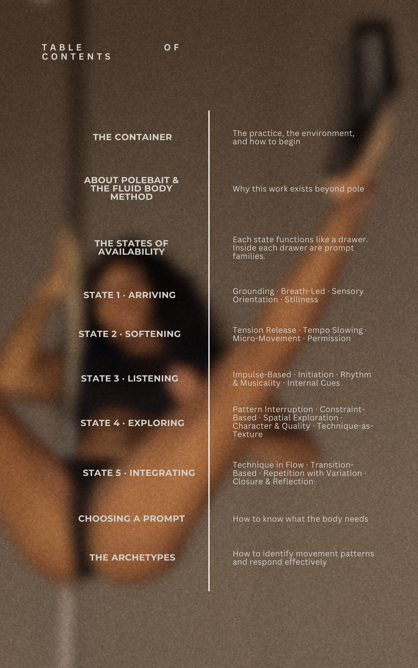FluidBodyPromptBook (1).png