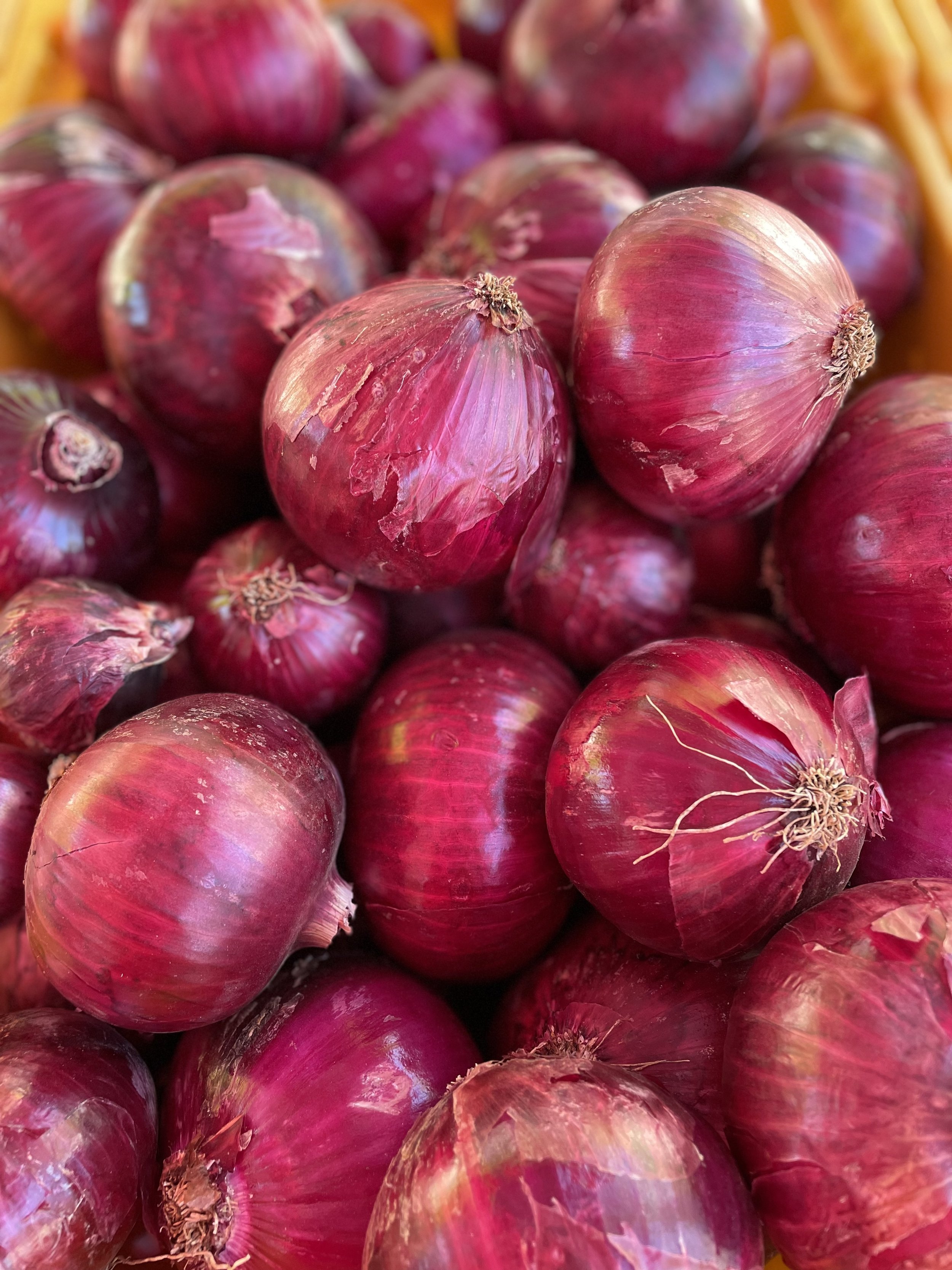 Red Onions
$2/LB