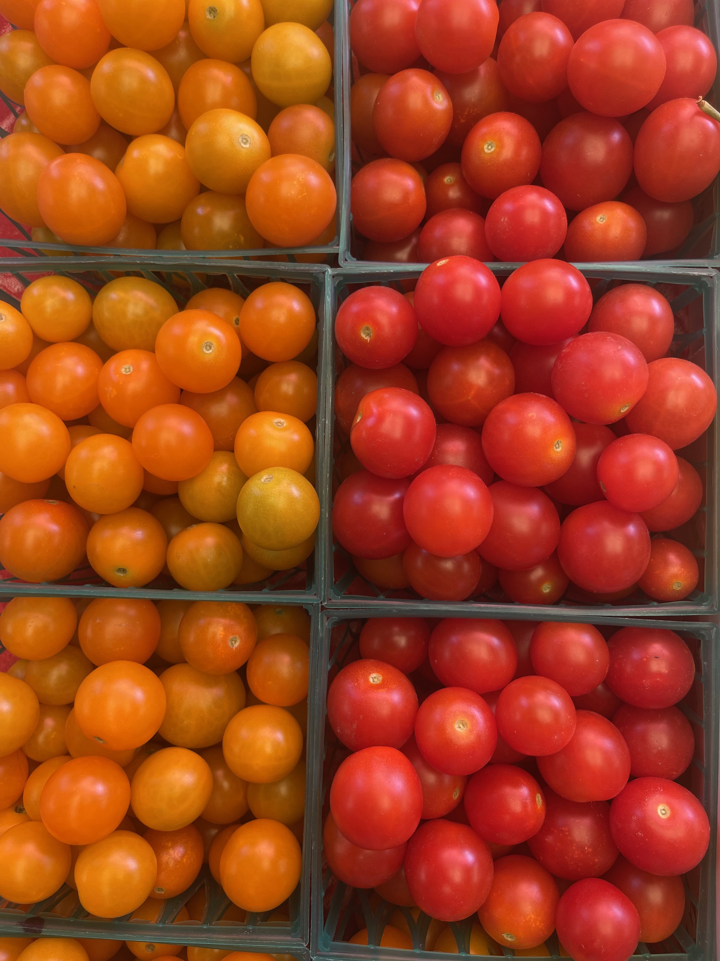 Cherry Tomatoes
$4/Basket