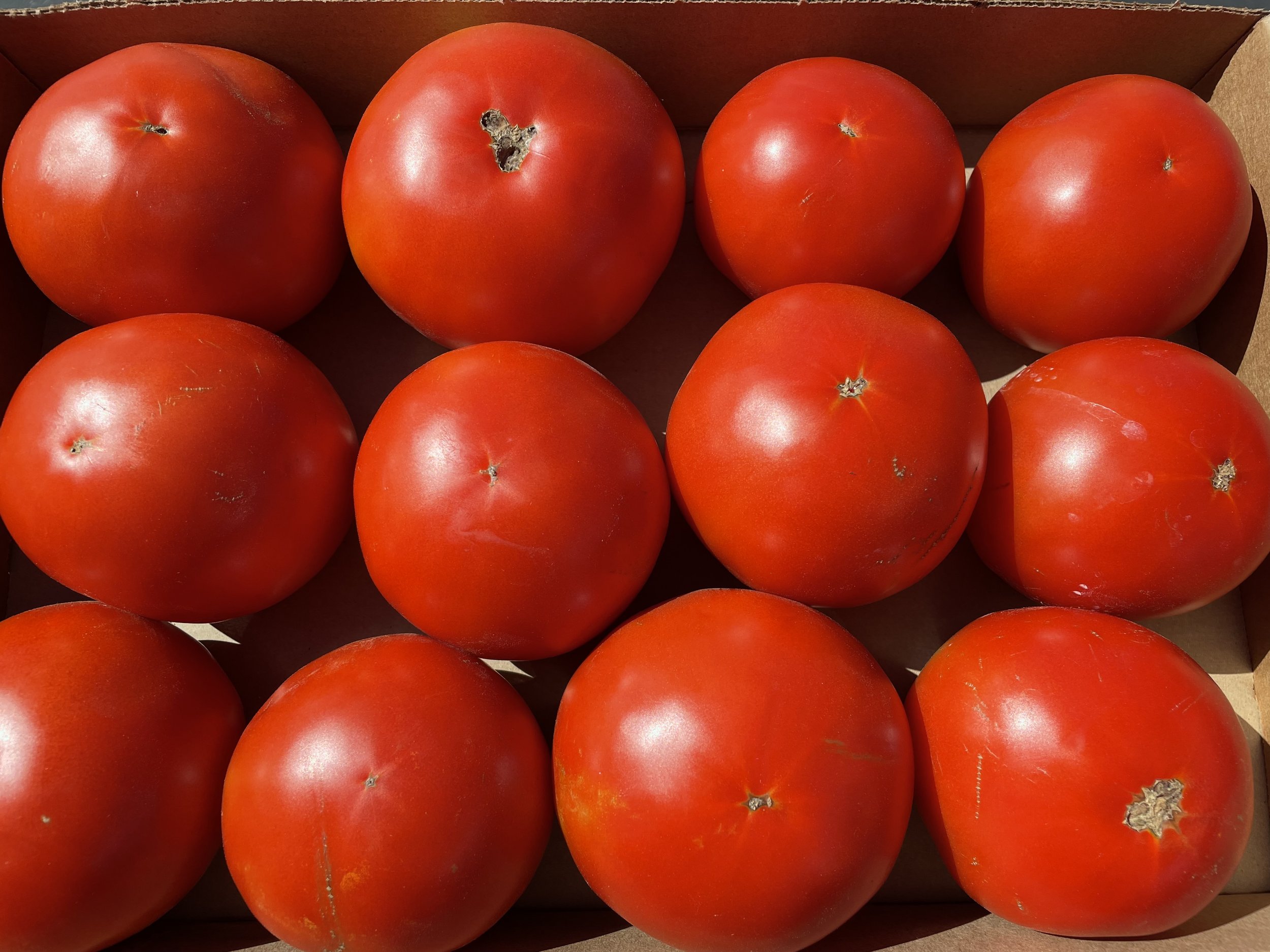 Tomatoes
$3.75/LB