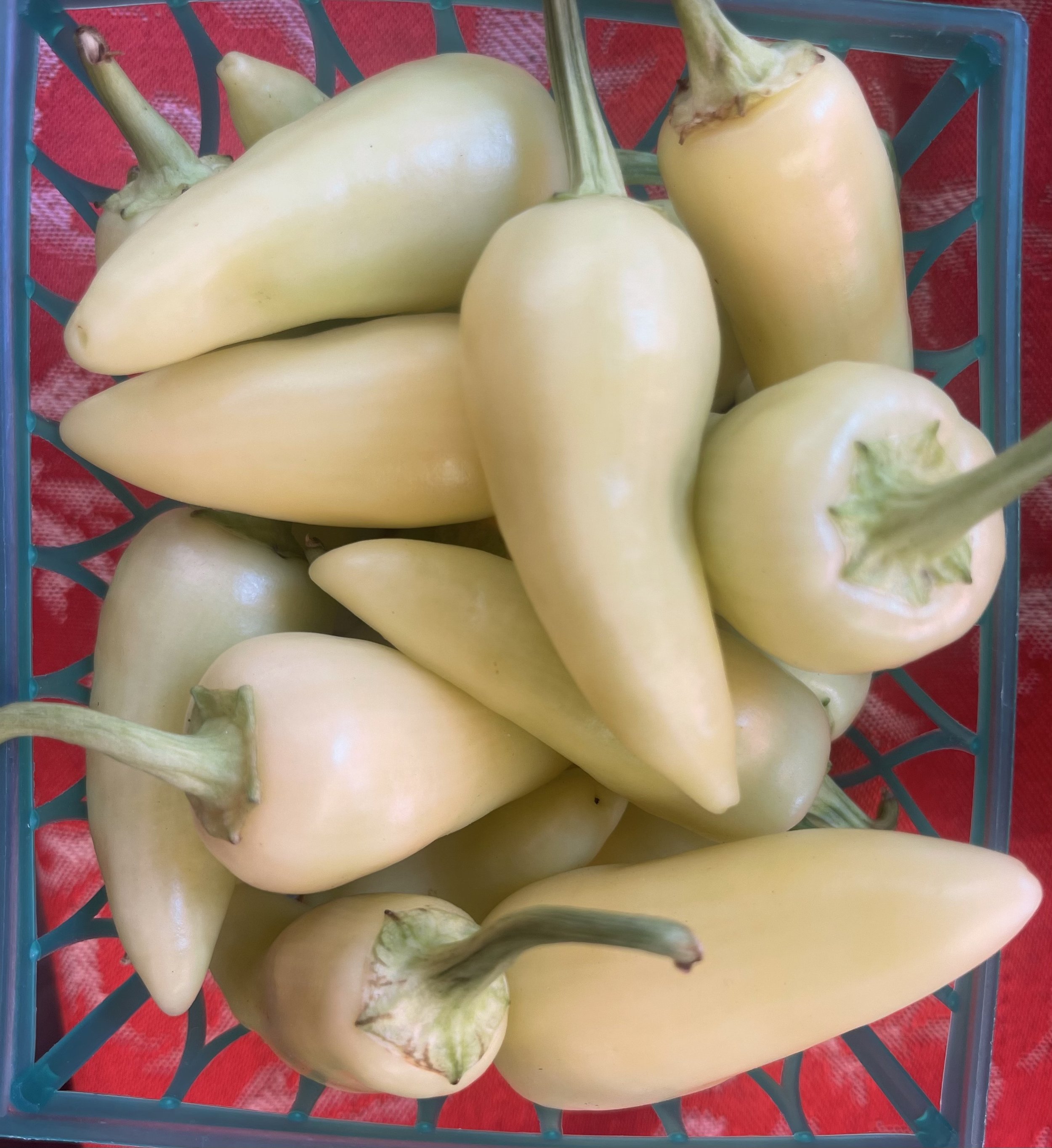 Guero Peppers (EXTRA HOT)
$4/Basket