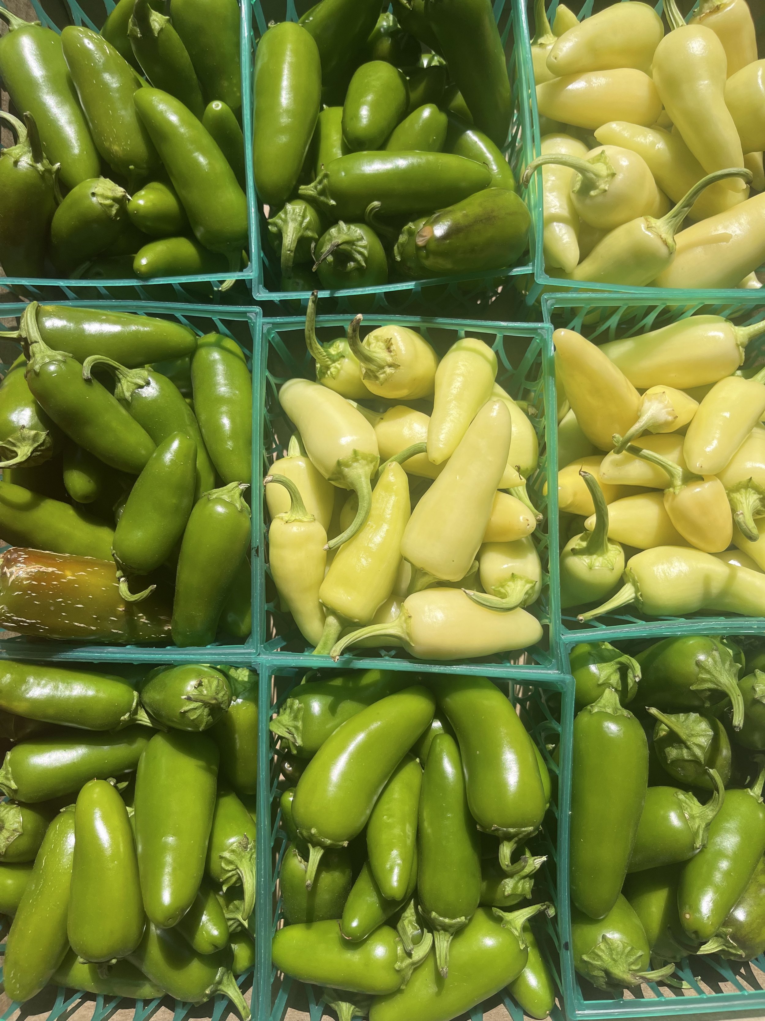 Jalapeños
$4/Basket