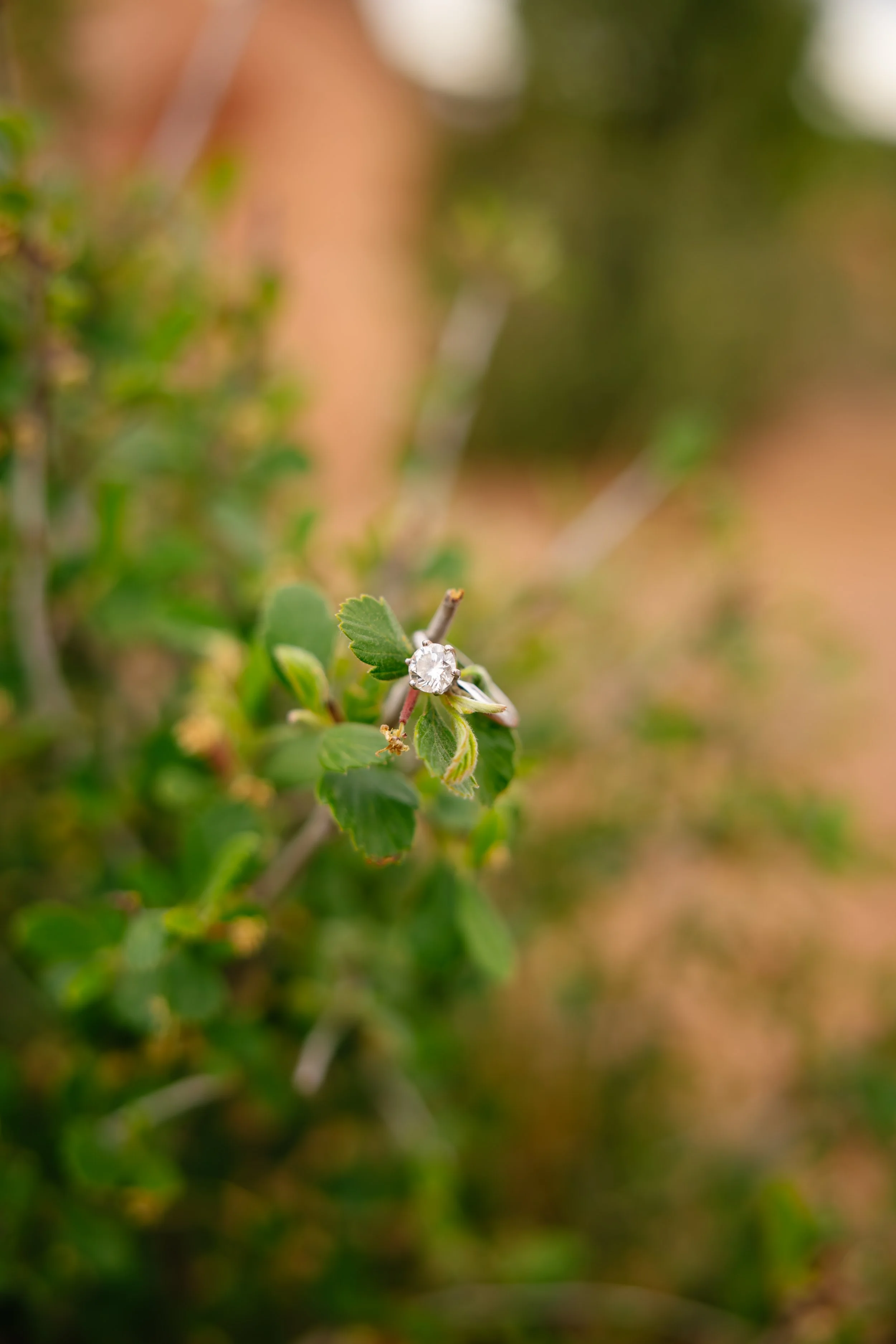 Amanda_caleb_engagement--21.jpg