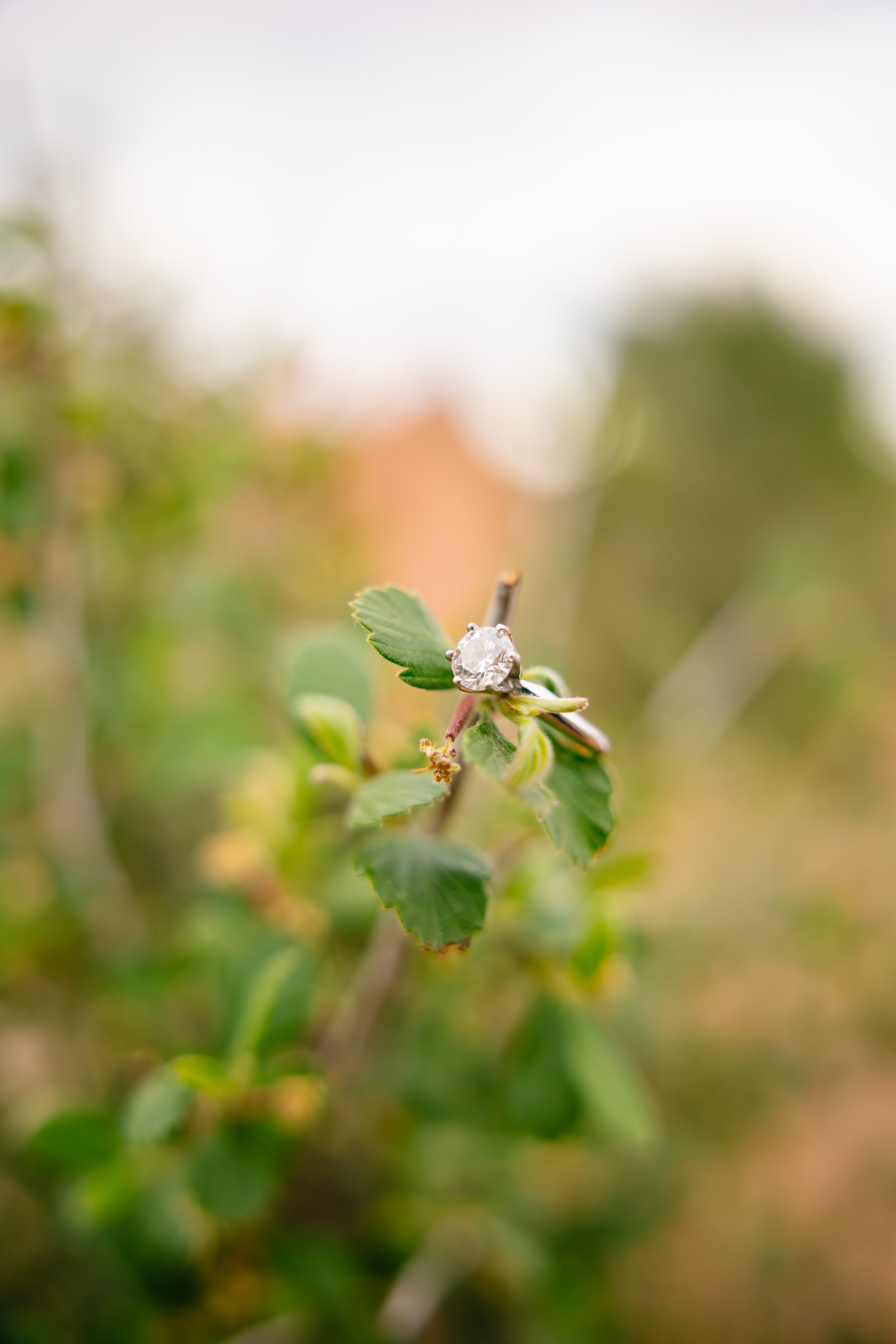 Amanda_caleb_engagement--22.jpg