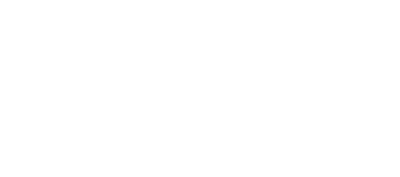 Berry Audit Services