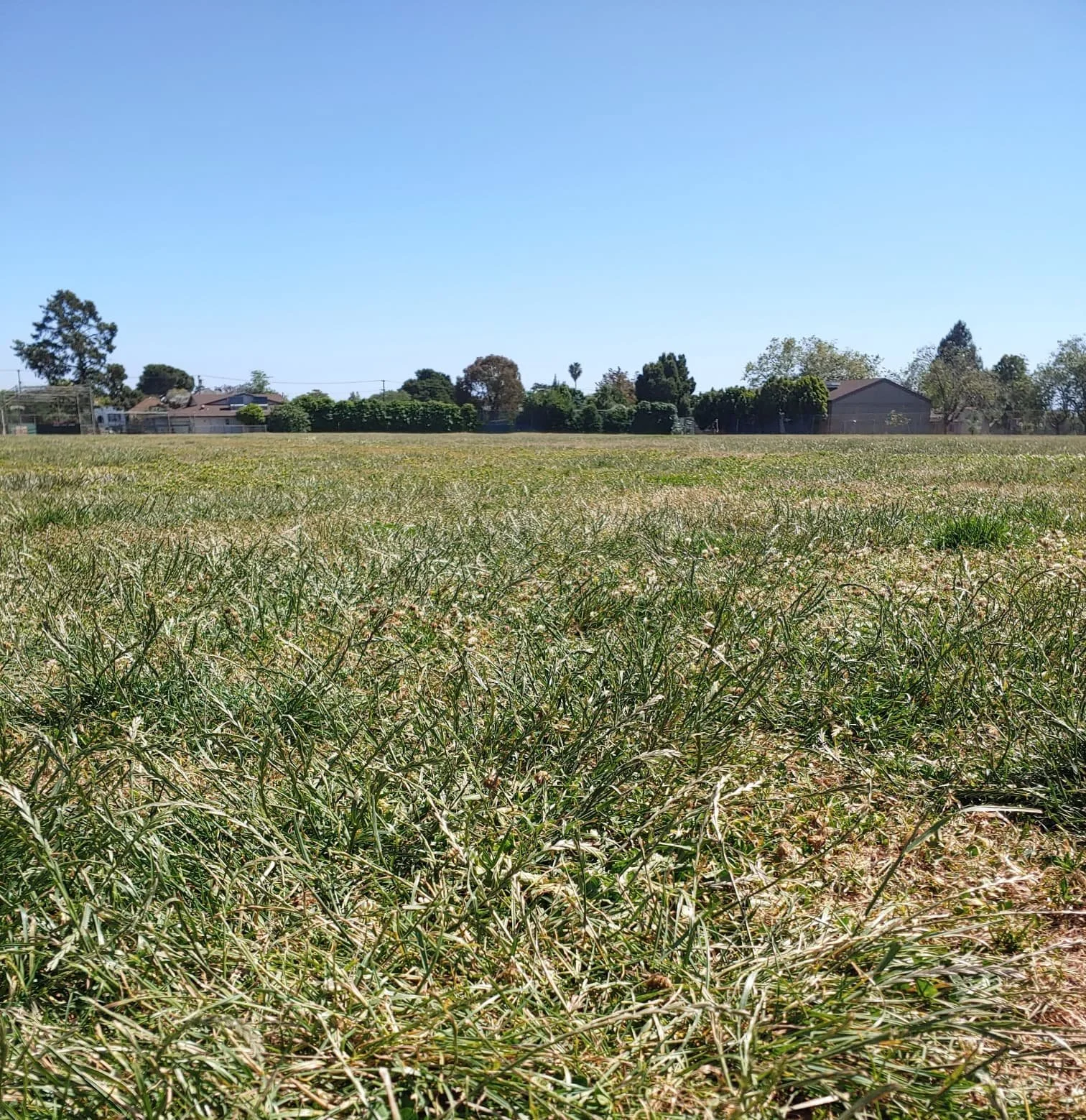 WhatsApp Image 2026-01-14 at 5.32.57 PM.jpeg