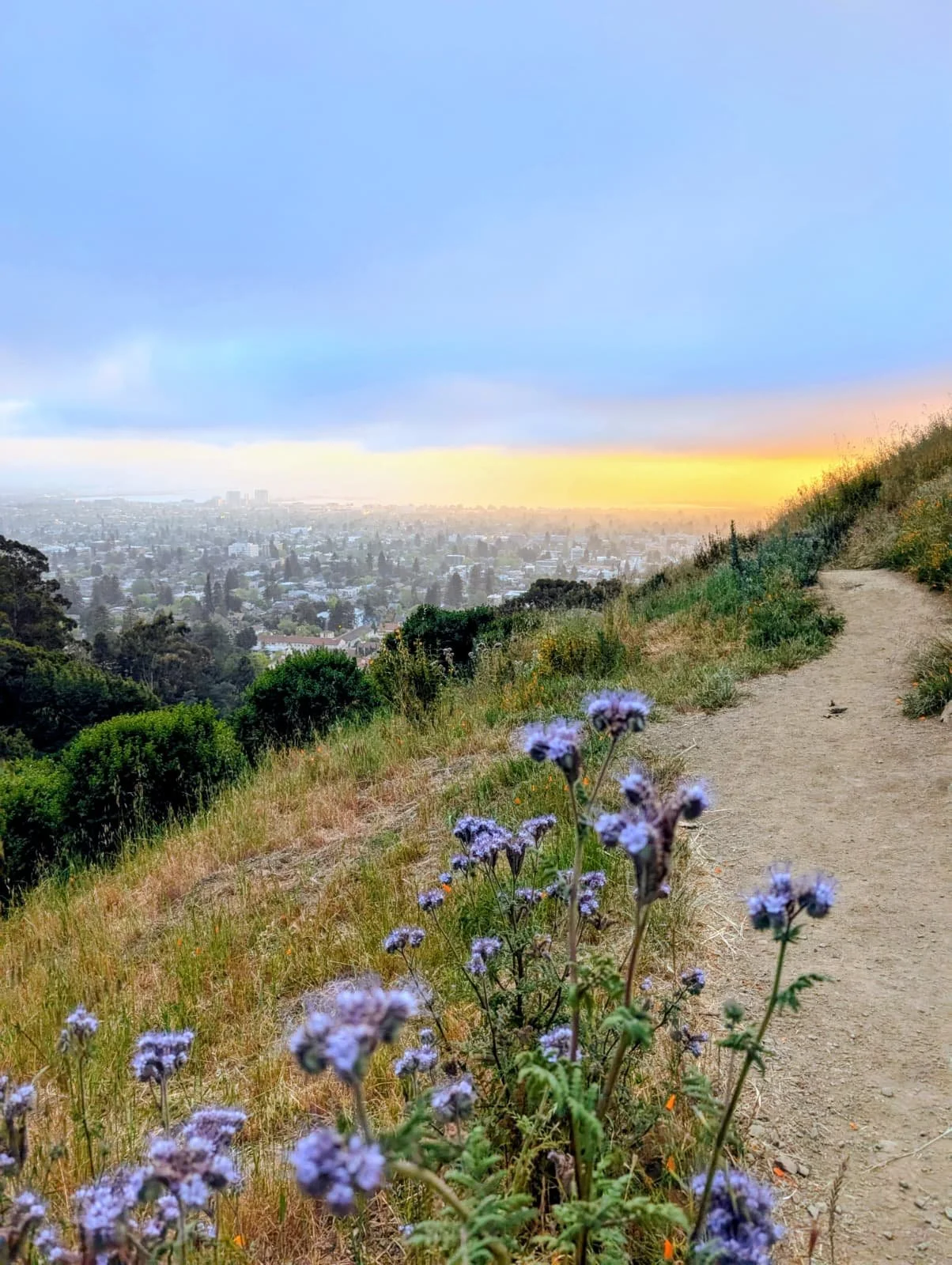 Learn to play pickleball!