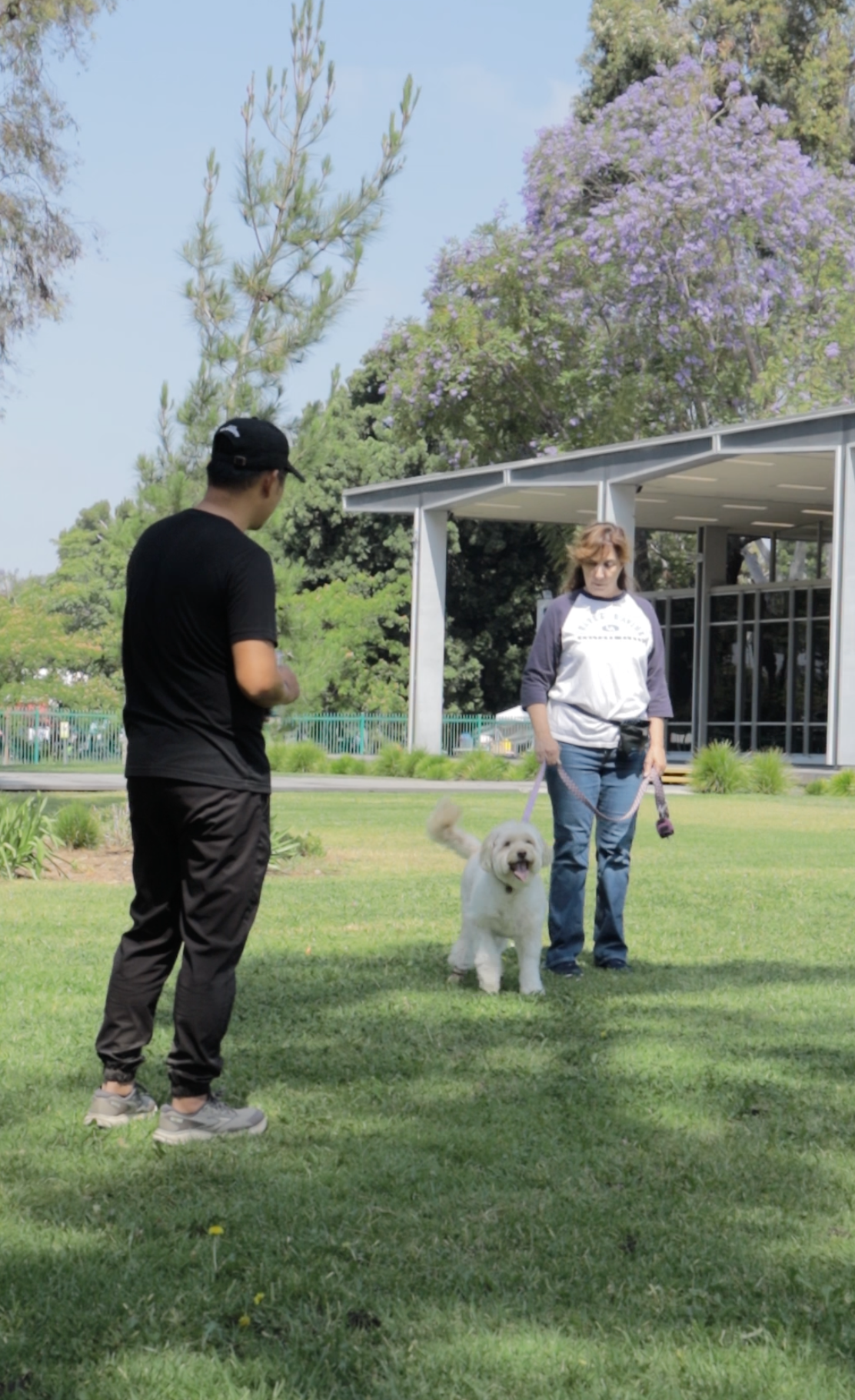 Group Dog Training Class