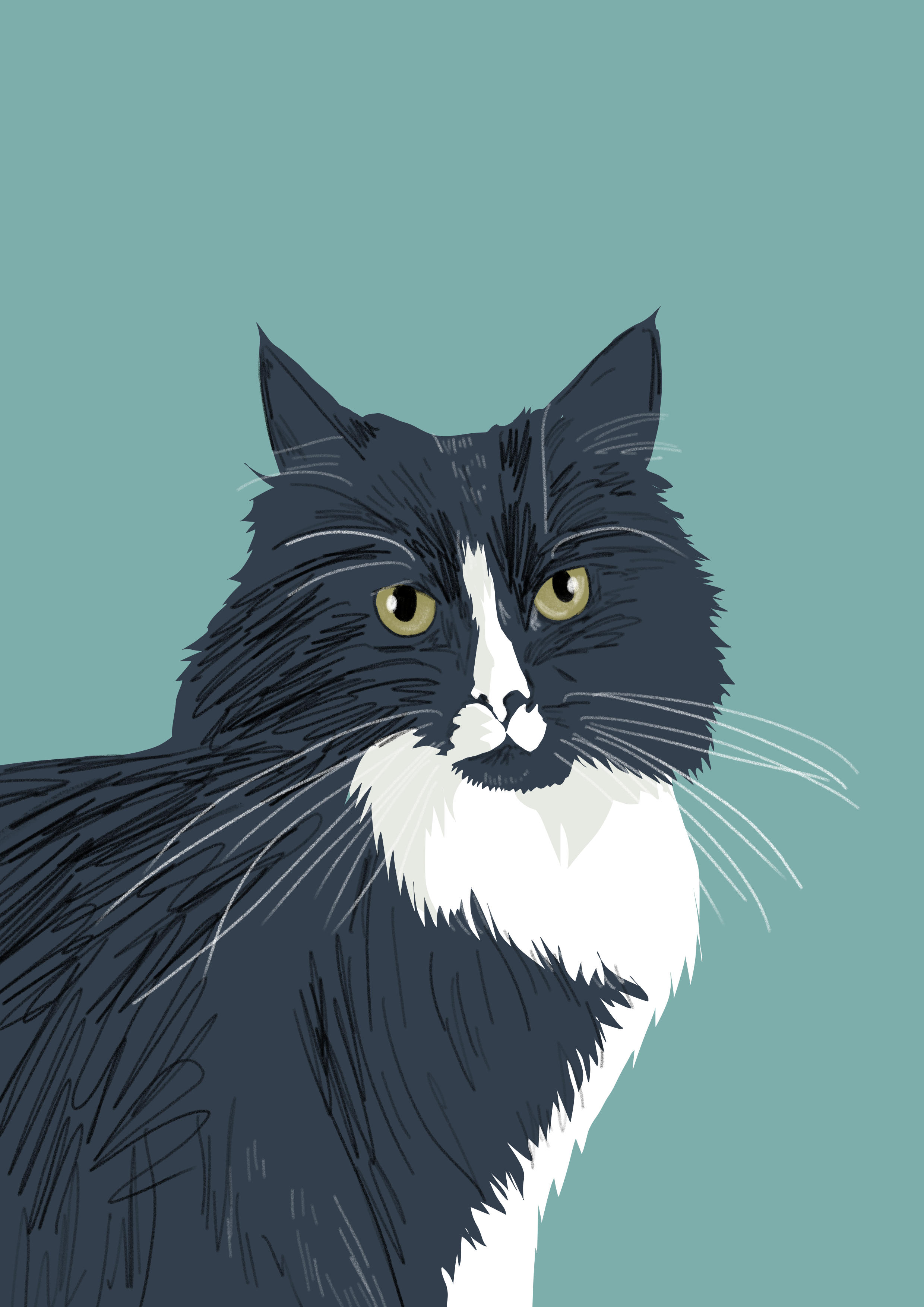 IMG_0476.PNG