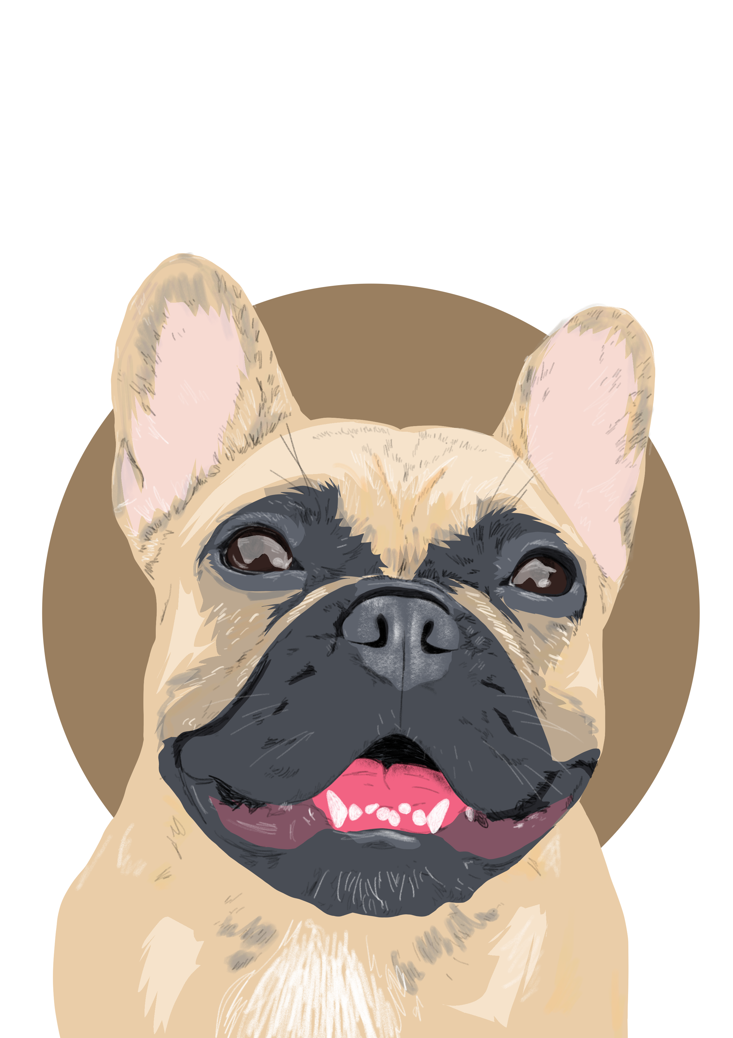 IMG_1033.PNG