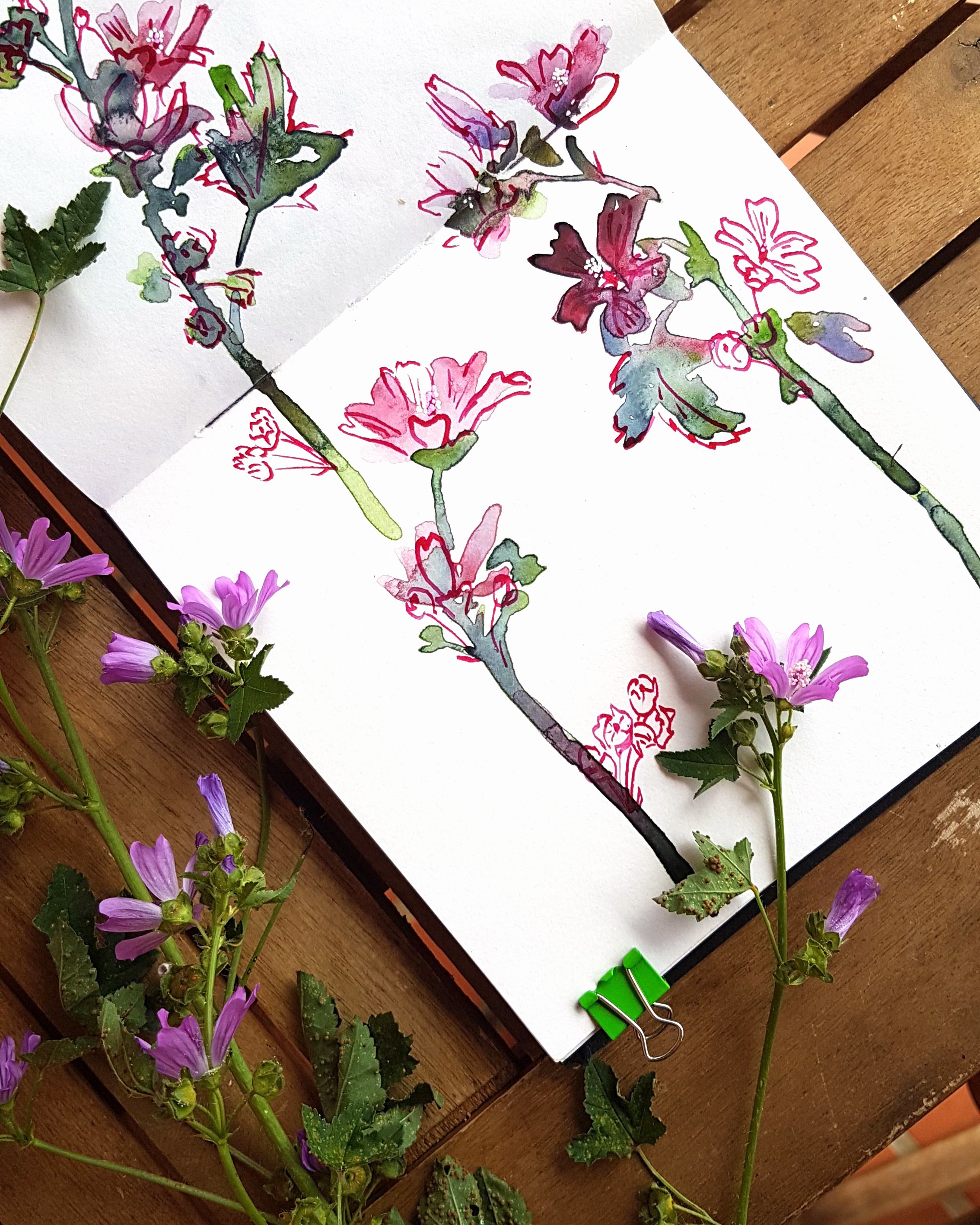 watercolour_flowers2.jpg