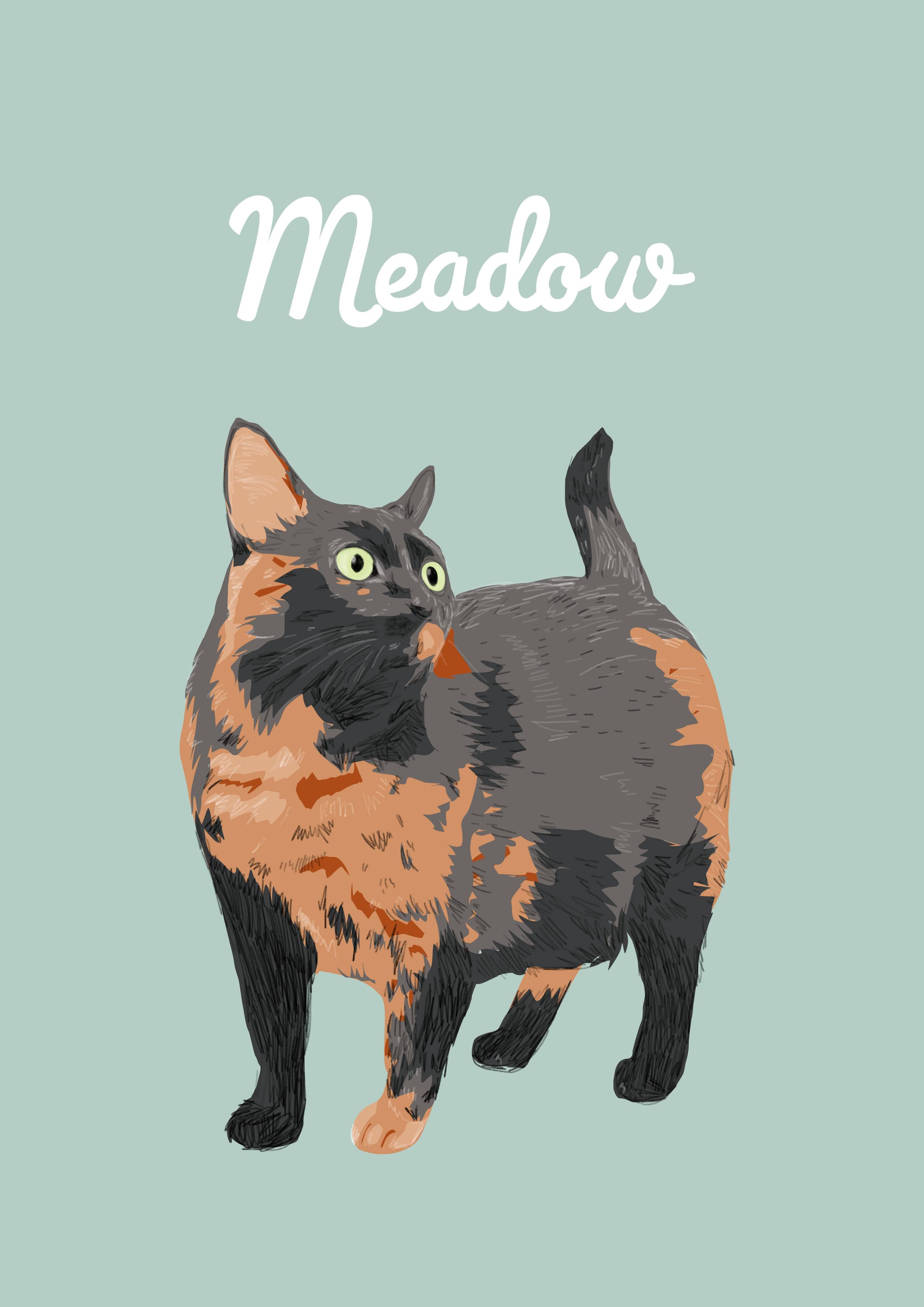 paperhouse_illustrations_meadow_a3.png