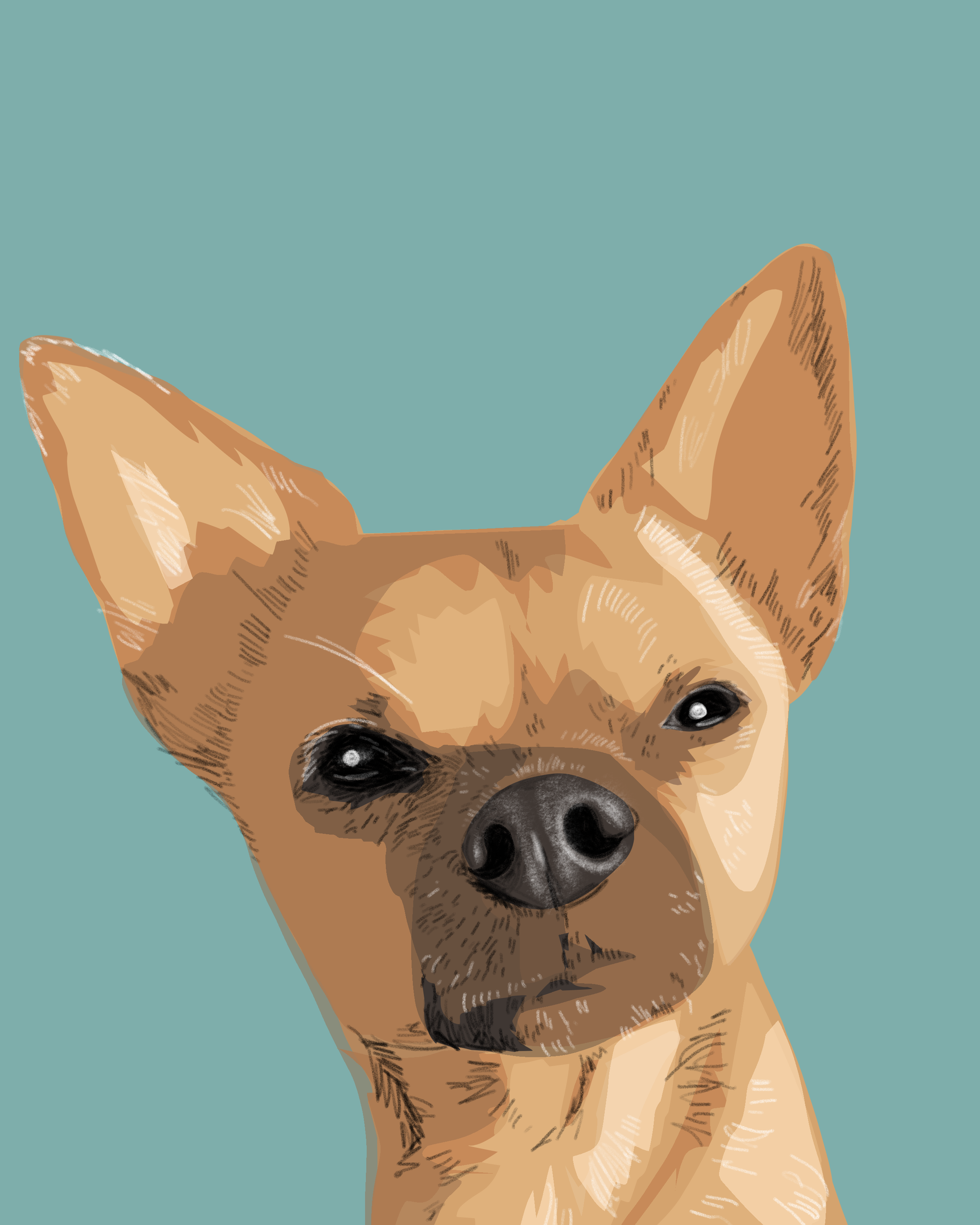 IMG_0849.PNG
