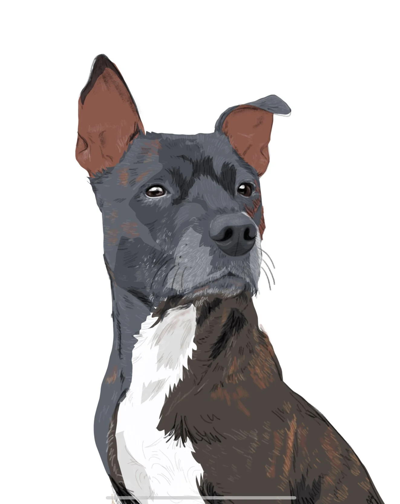 2F41A075-5A54-4E3E-9BC4-B1BE74AFAAD3.jpeg