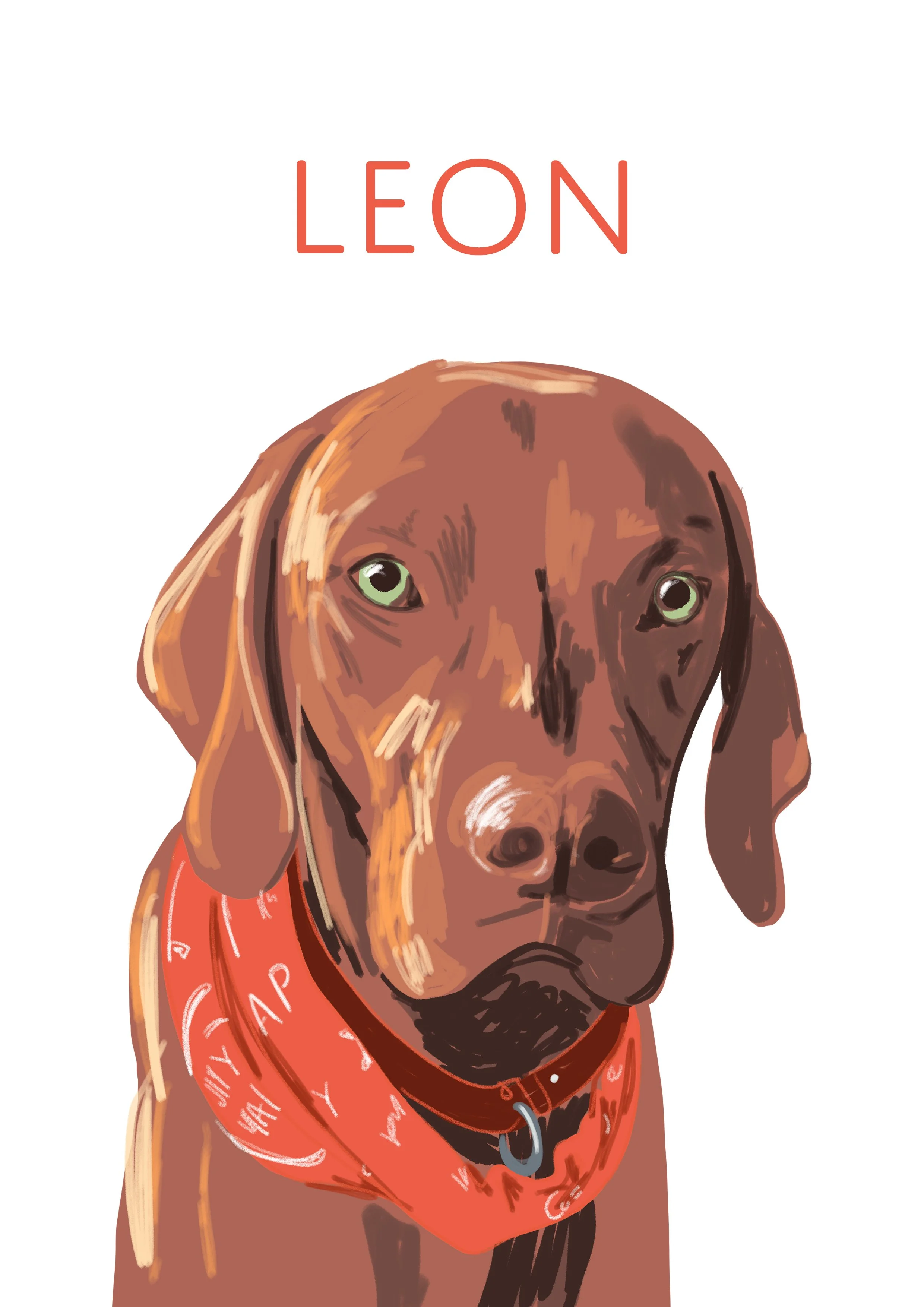 Pet_Leon_A4_white_domustilting.jpg