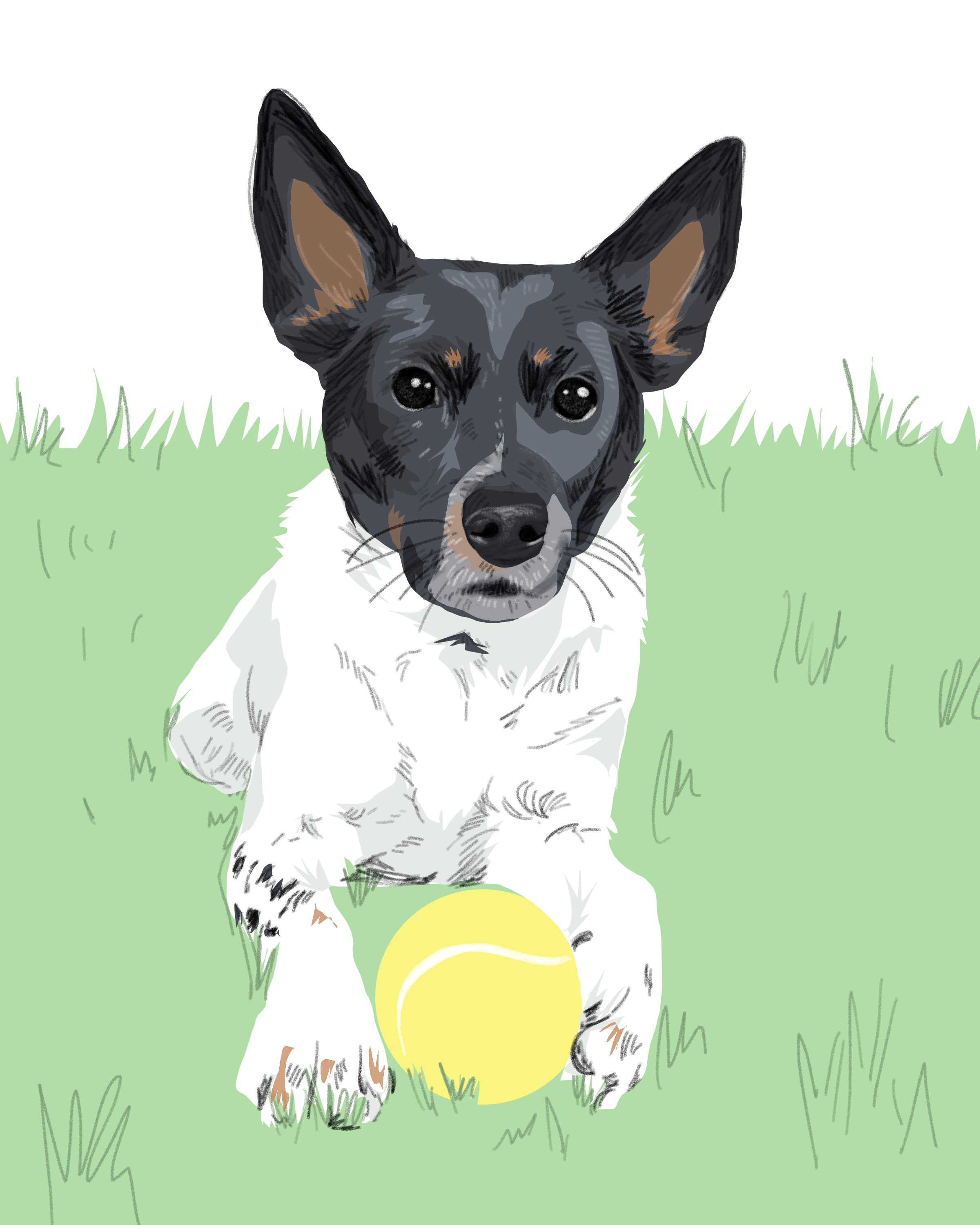 PaperHouse_Illustrations_Bruce_8x10inch.PNG