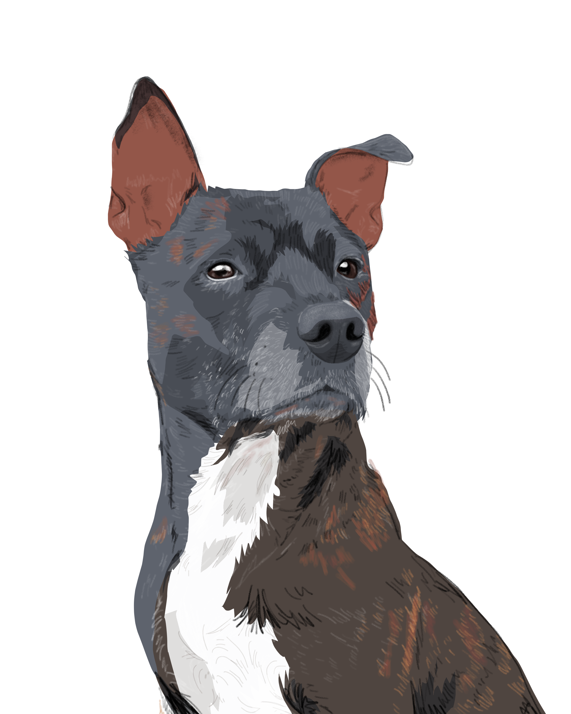 Fudge_8x10inch.PNG