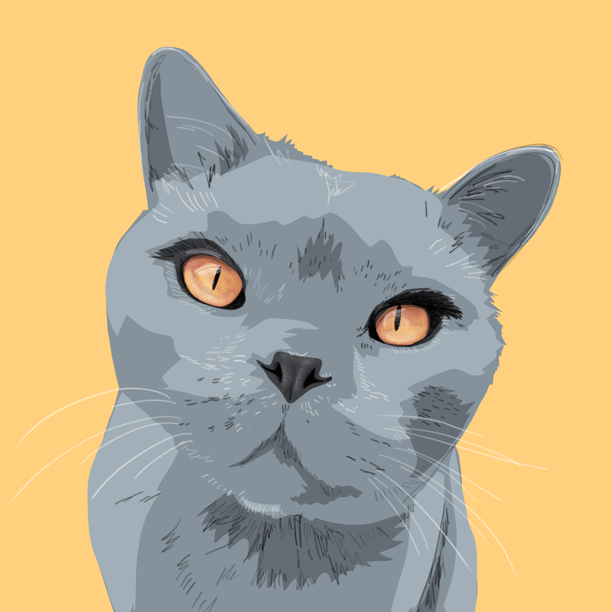 IMG_1024.PNG