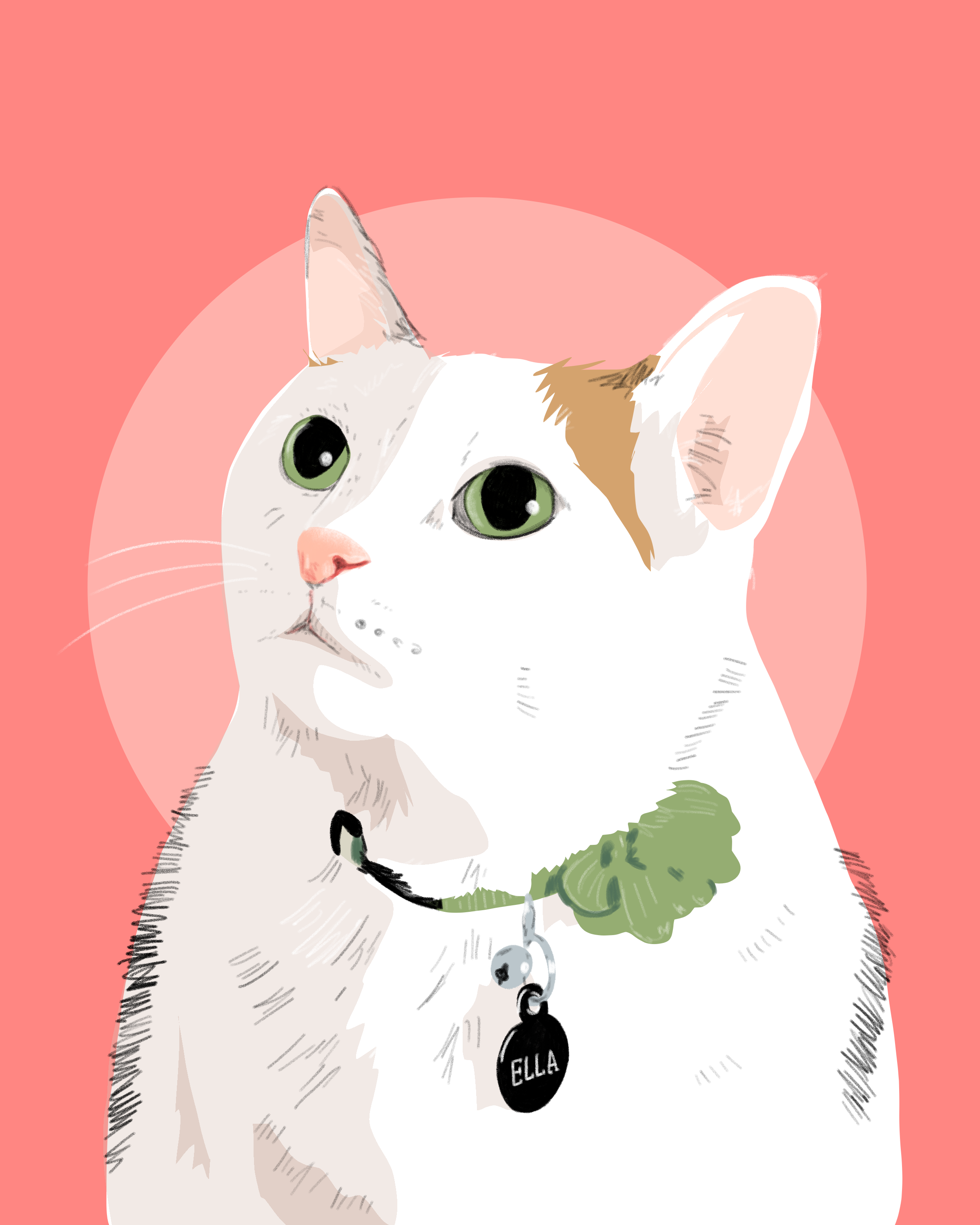 IMG_0773.PNG