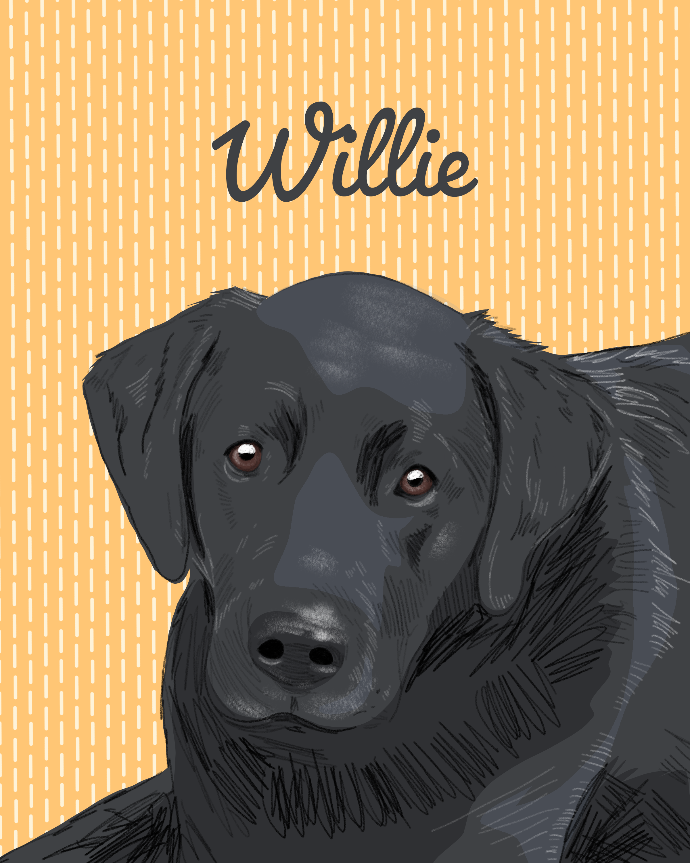 PaperHouse_Illustrations_Willie_8x10inch.png