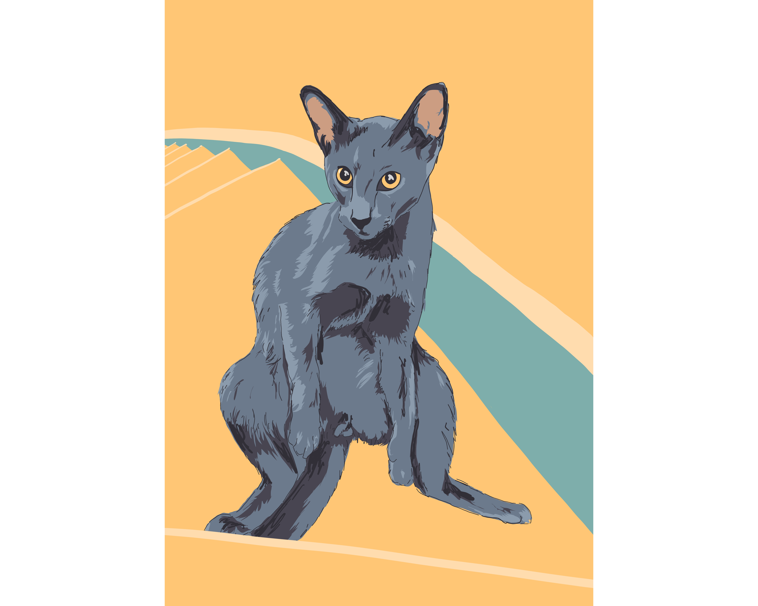IMG_1834 copy.png