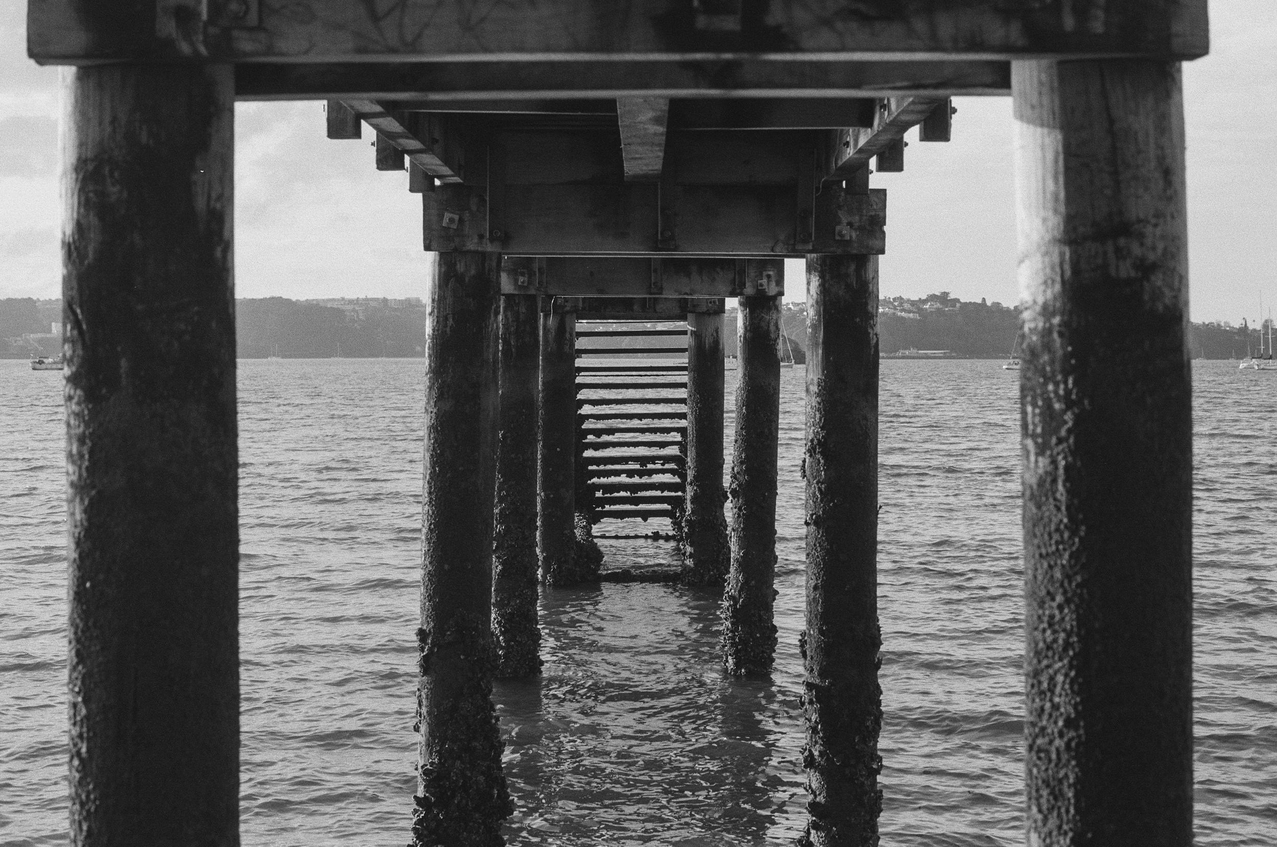 RoseMcMahon5411--0021_###.jpg