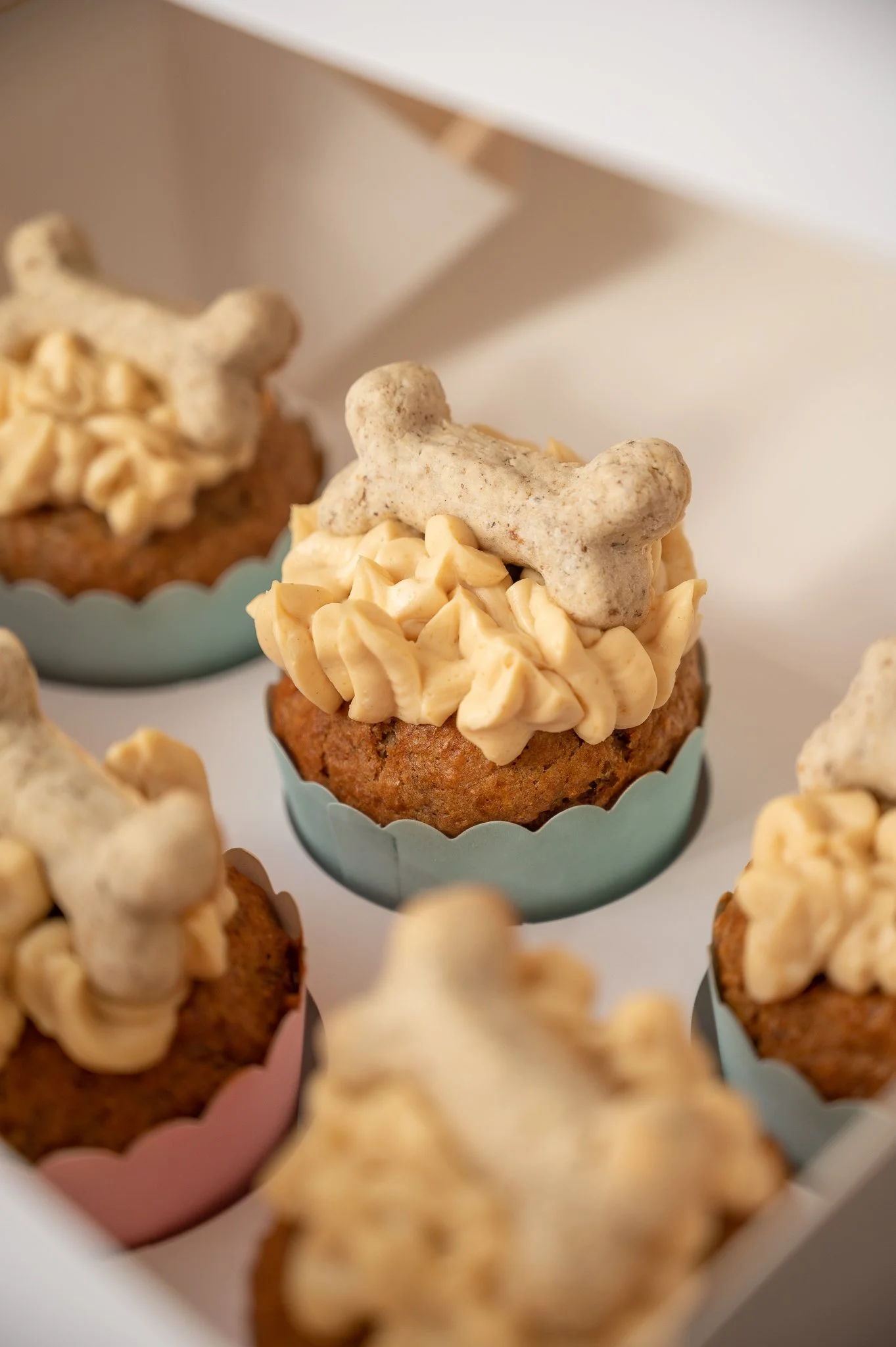 Peanut Butter Dog Friendly Cupcakes Near Me Box Of Pupcakes
