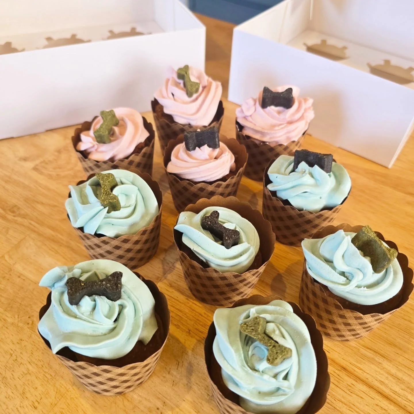 Pupcakes for a Birthday Pawty! 🐶🐾

#dogbirthdayparty #Pupcakes #puppytreats #dogfriendly #DogBakery