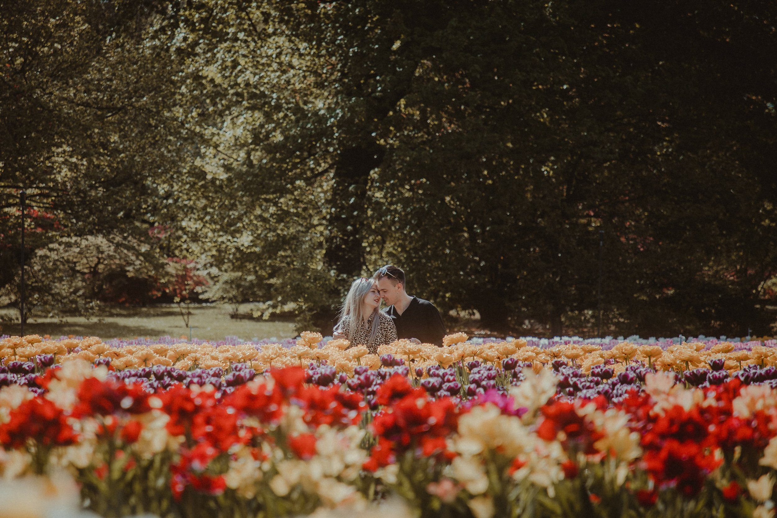 Breath of flowers - Romeo and Alina prewedding in Villa Taranto