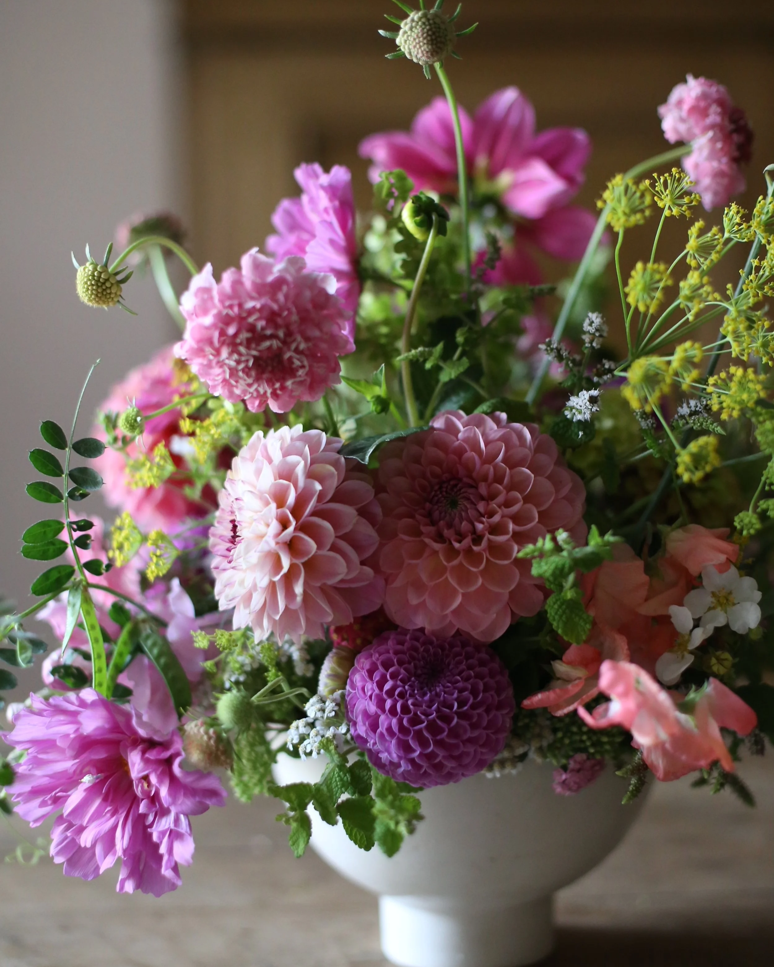 IMG_7664.png (Copy)