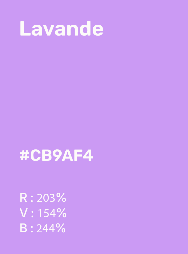 Identité visuelle complète Trégor Summit pour un sommet communication dans le Trégor.