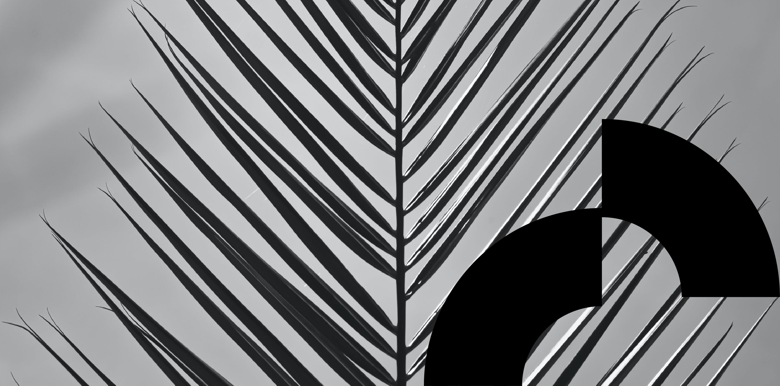 Square Design : agence spécialisé dans la modernisation d'identité visuelle et d'image de marque