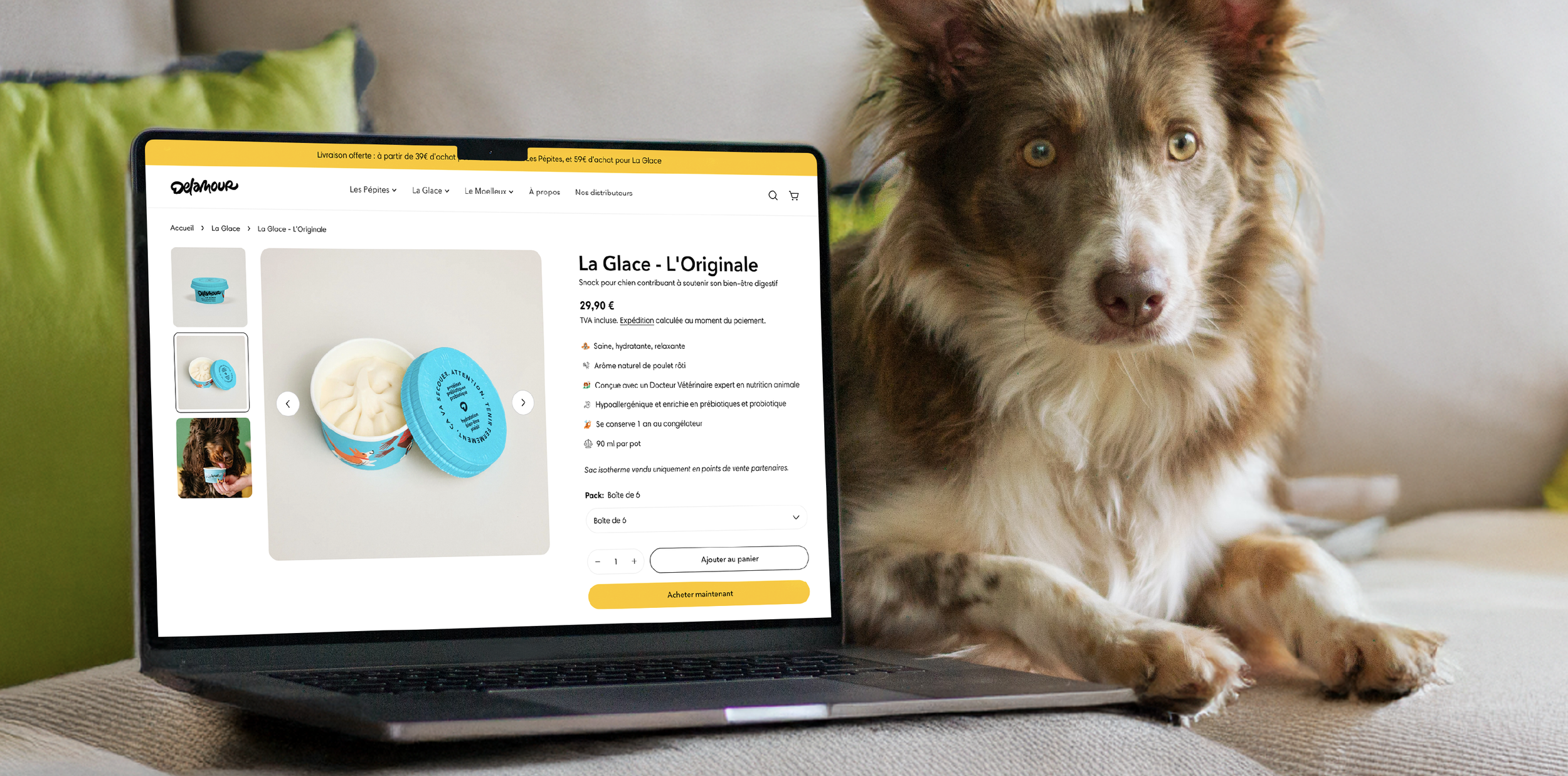 Shopify est-elle une plateforme adaptée à la vente de produit en ligne ?