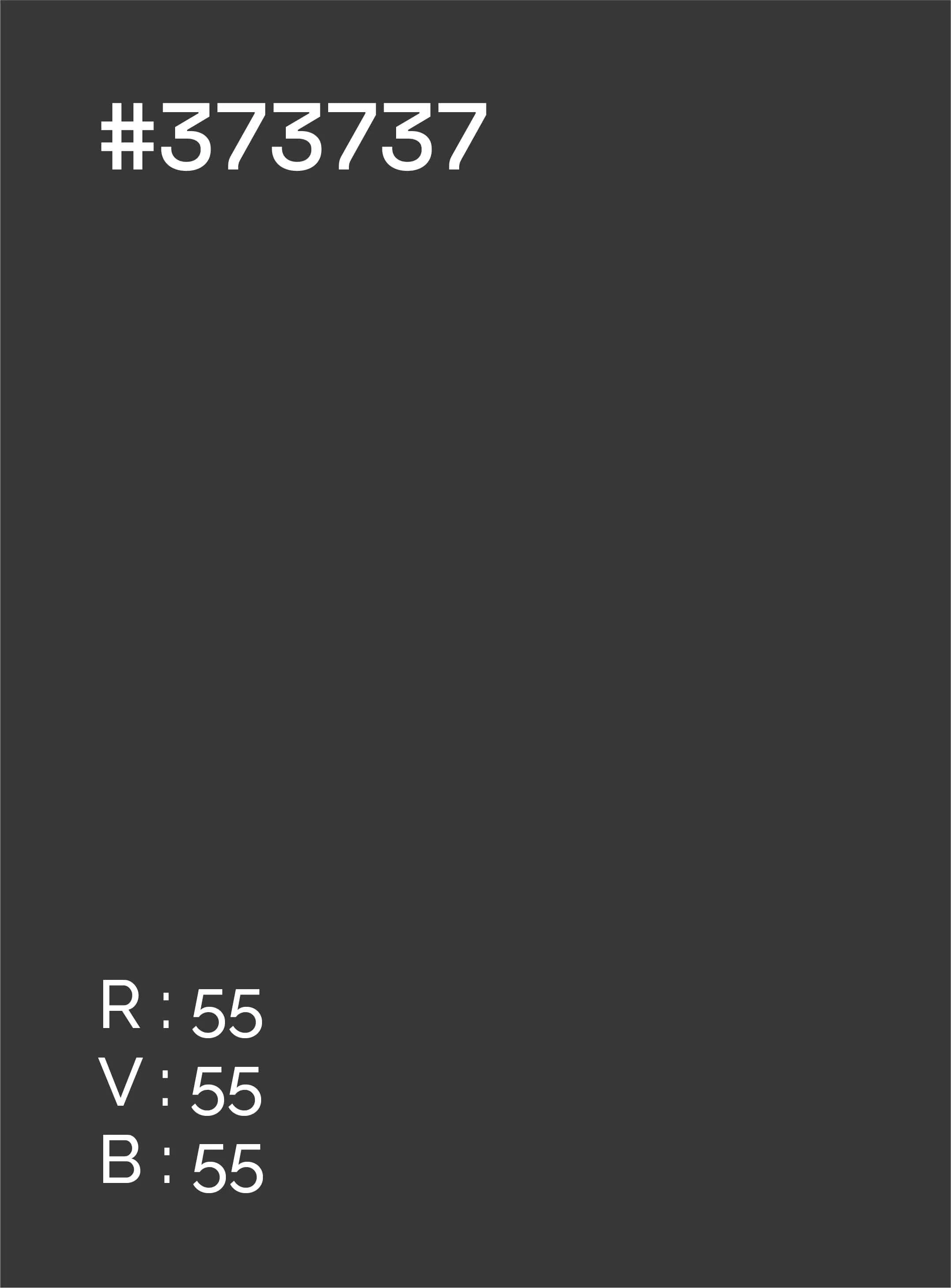 Échantillon de couleur gris foncé avec le code hexadécimal #373737, valeurs RVB 55,55,55, indiquant une couleur sombre et neutre.