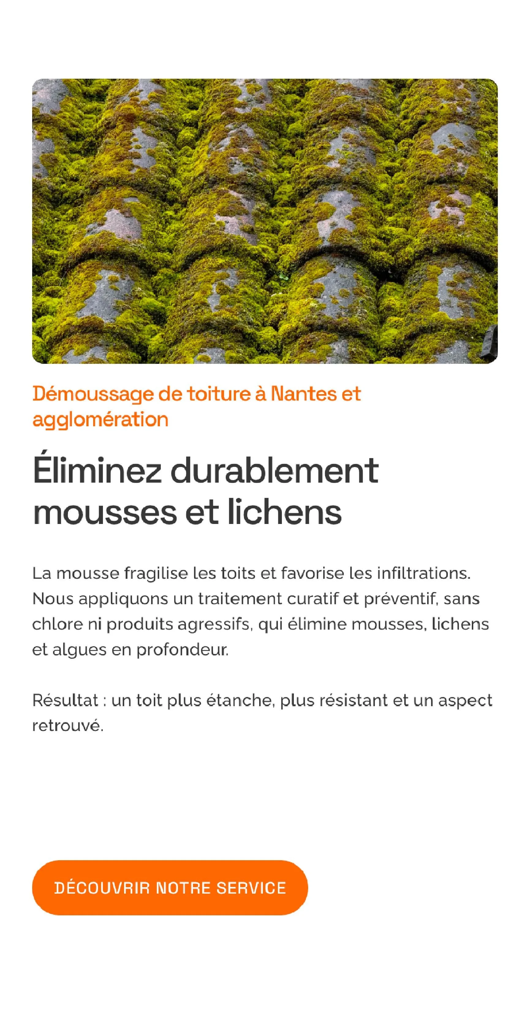 Image montrant des toits verts couverts de mousses et lichens.