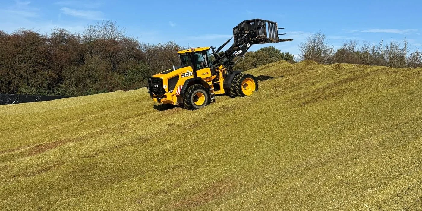 Radlader auf dem Silo mit Maissilage