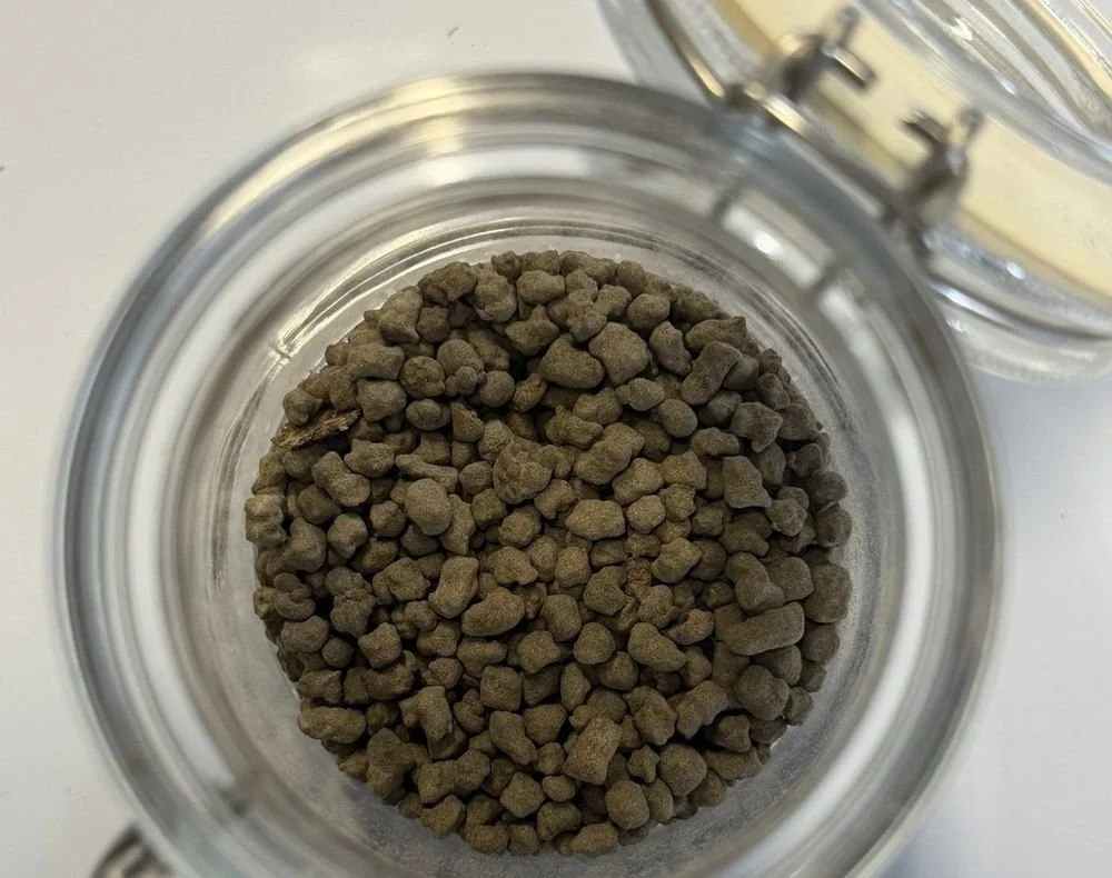 Pellet sample in a glass jar