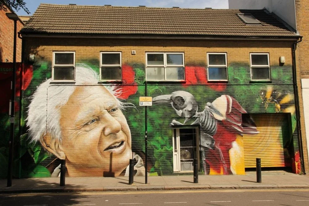 5 Life Recommendations Found in the Words of Sir David Attenborough