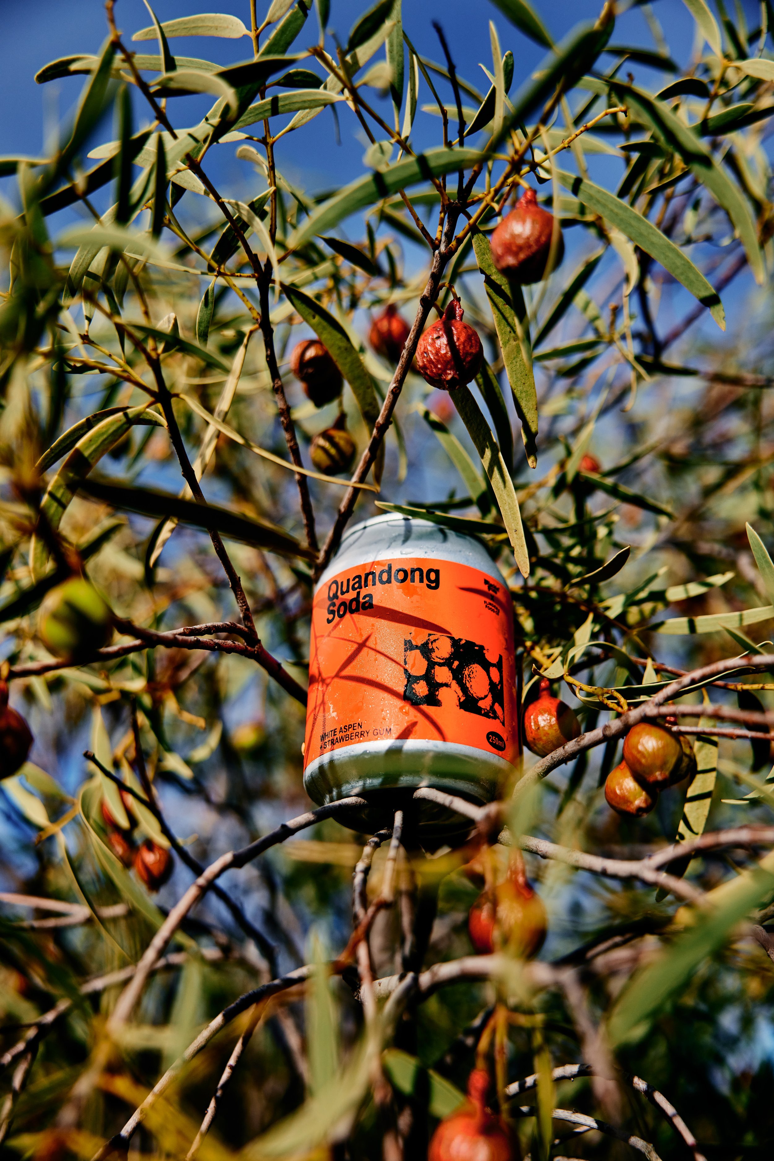 QUANDONG_ITF-148.jpg