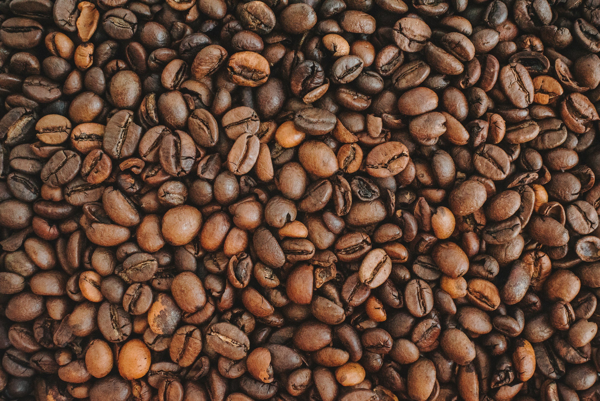 Close-up of roasted coffee beans.